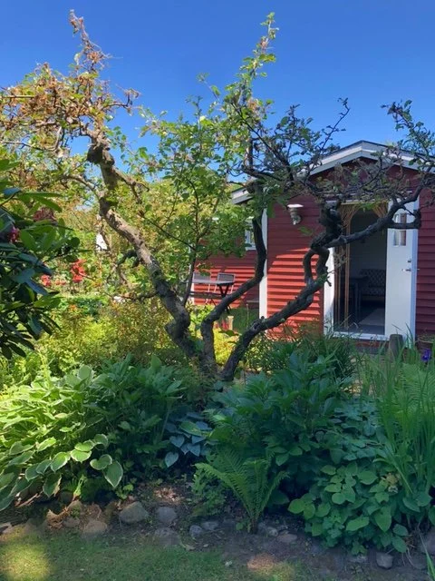 Fin liten röd kolonistuga med lummig trädgård