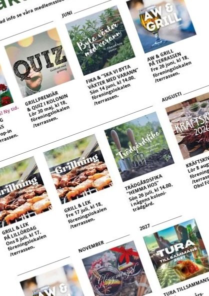 Grillkvällar, trädgårdsfika och bara vara – kolonilivet på Fredriksdal Västra