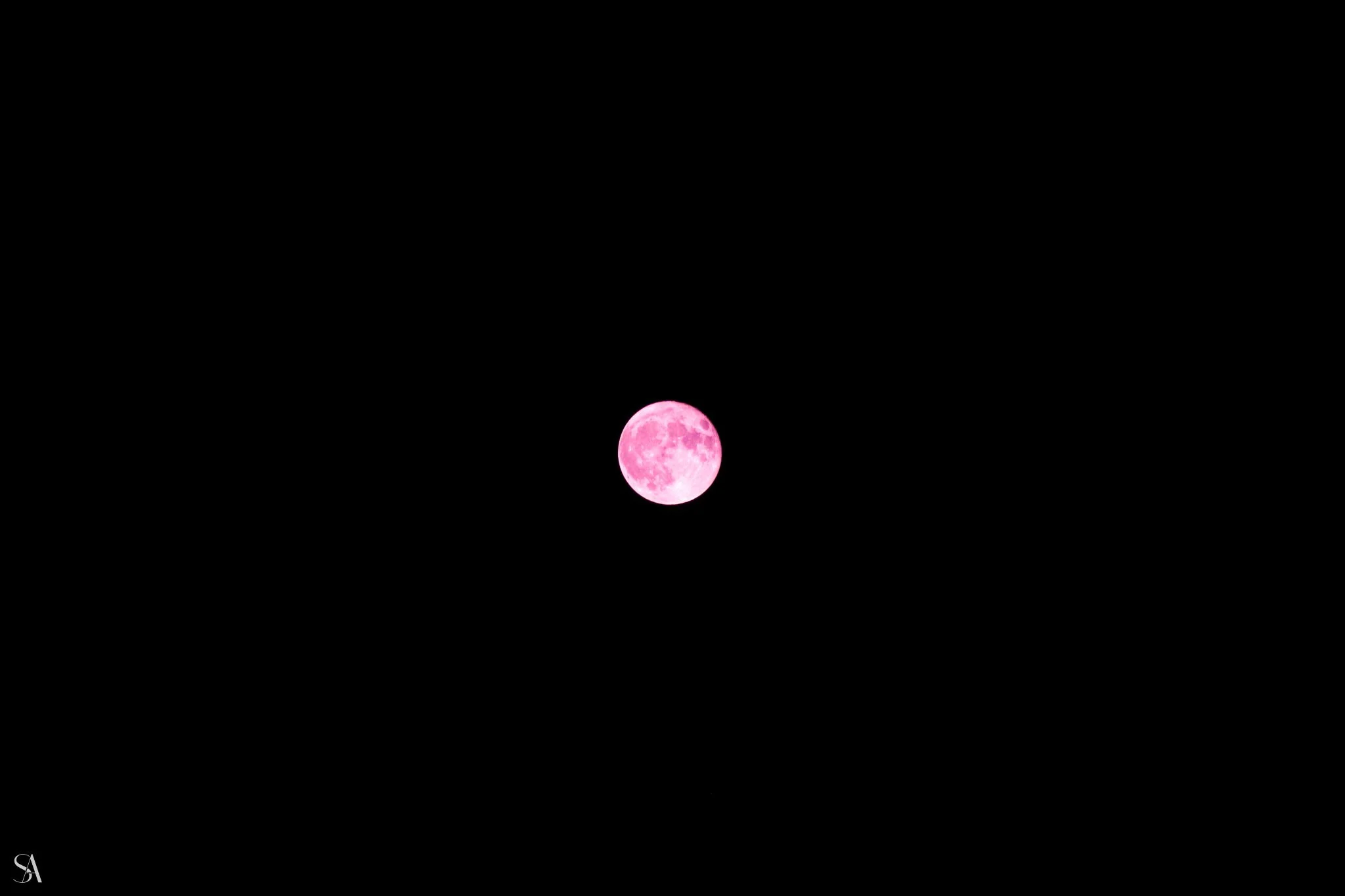 342A6702-2.jpg