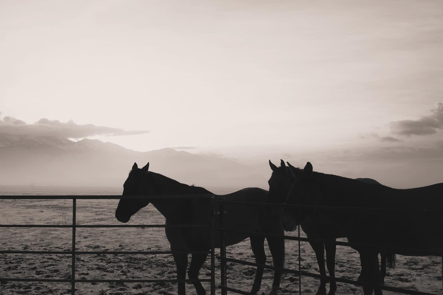 Montana sunrise, this was an awesome morning two winters ago.