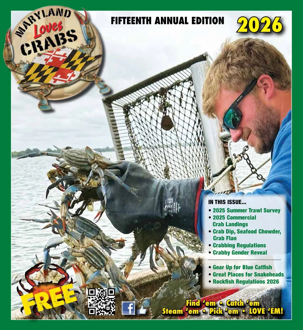 MLC_Cover_2026-1.jpg