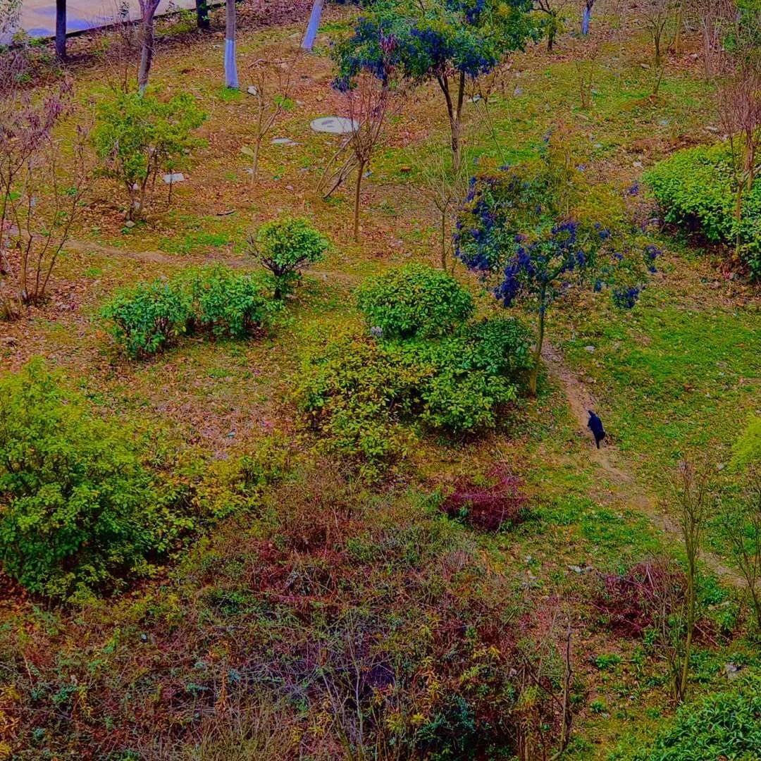 照片 29-03-2026 07 59 09.jpg