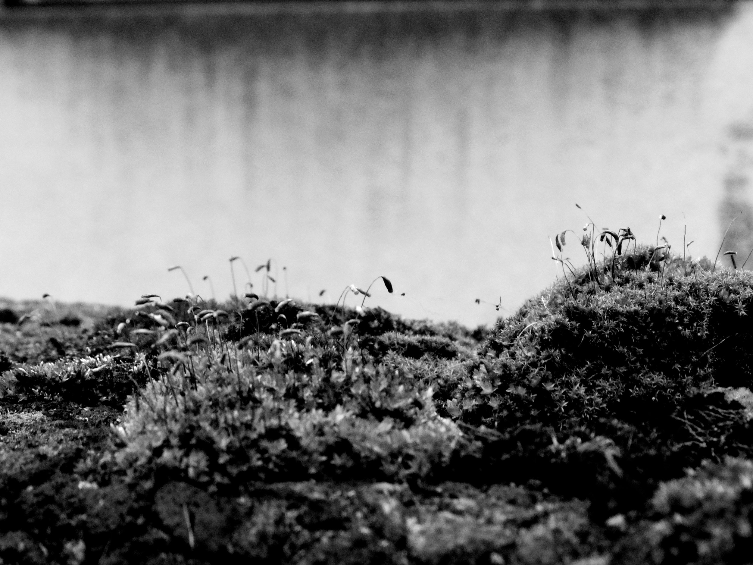 照片 15-10-2024 下午4 42 49.jpg