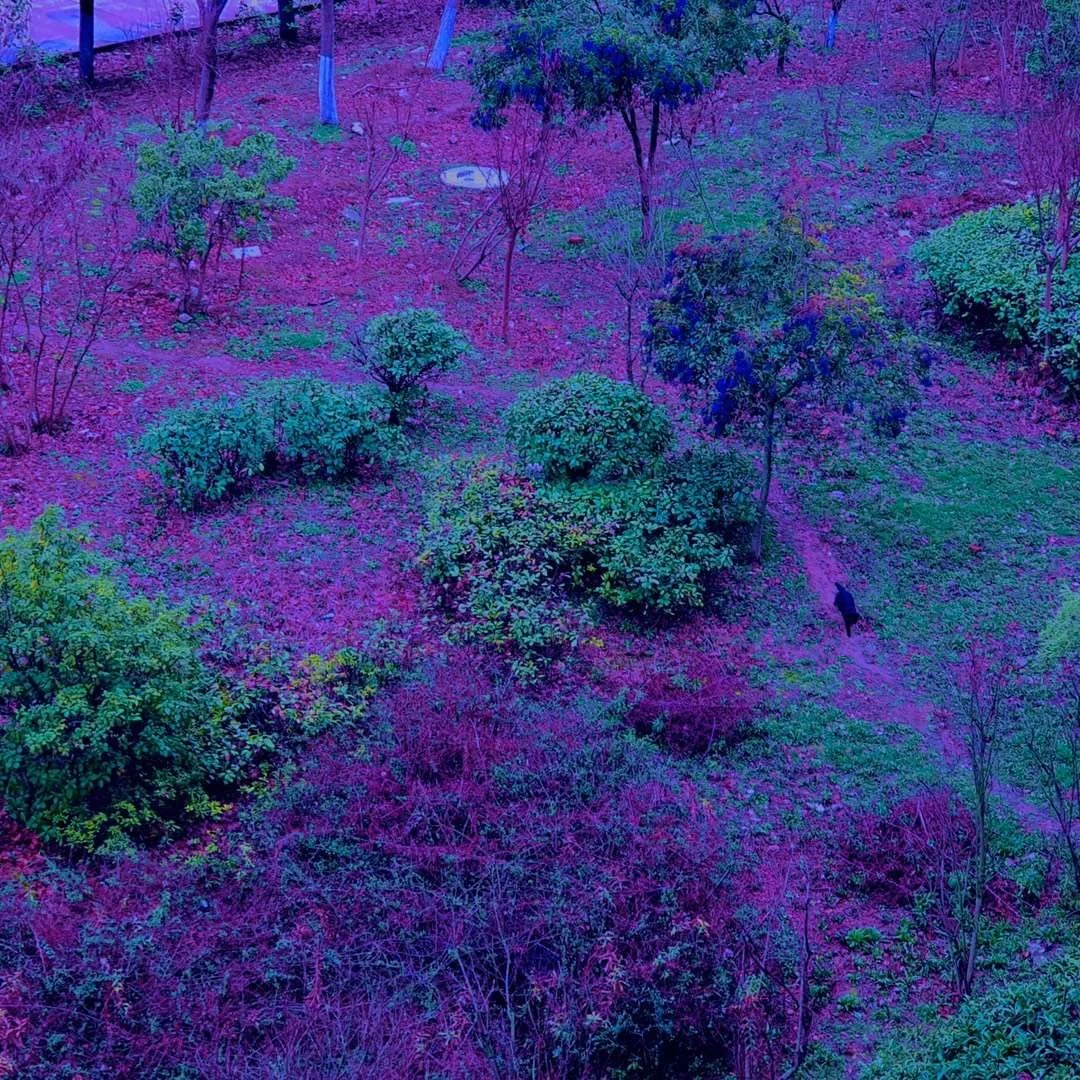 照片 29-03-2026 07 59 11.jpg