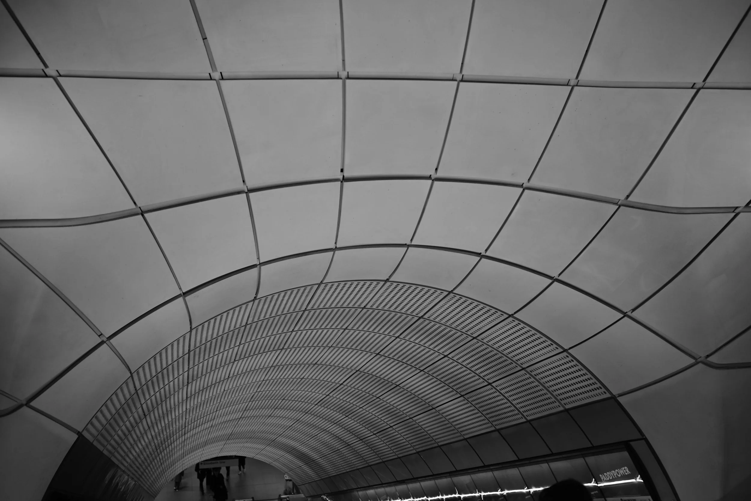 DSC_1095.JPG