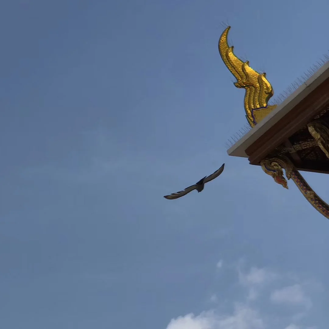 照片 29-03-2026 11 56 43.jpg