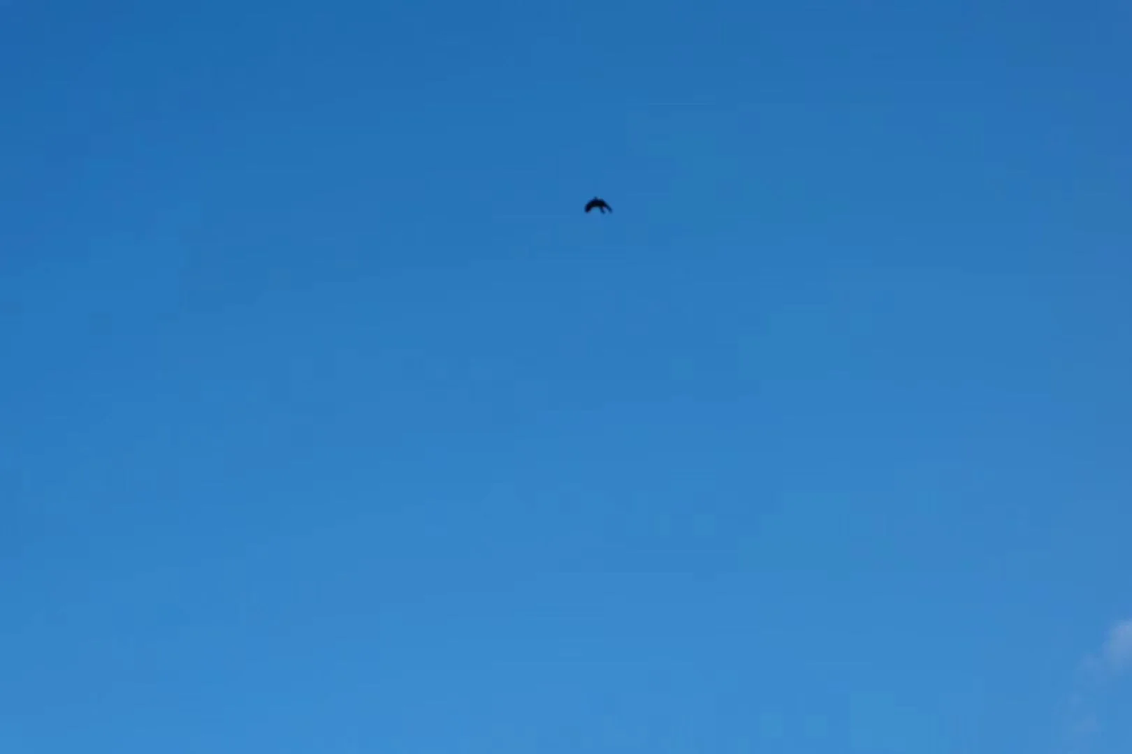 照片 29-03-2026 07 58 10.jpg