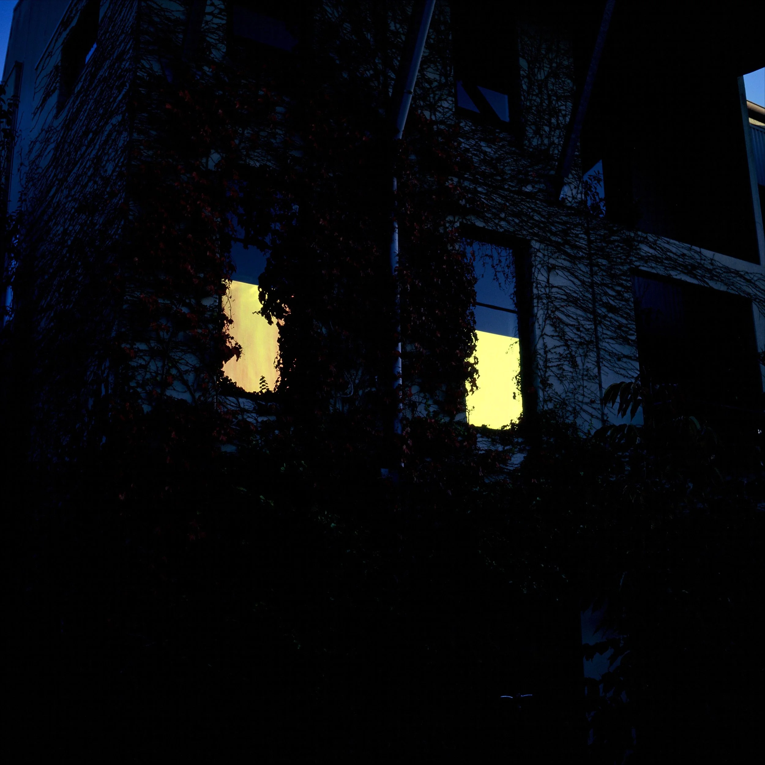 照片 31-03-2026 19 56 15 (6).jpg