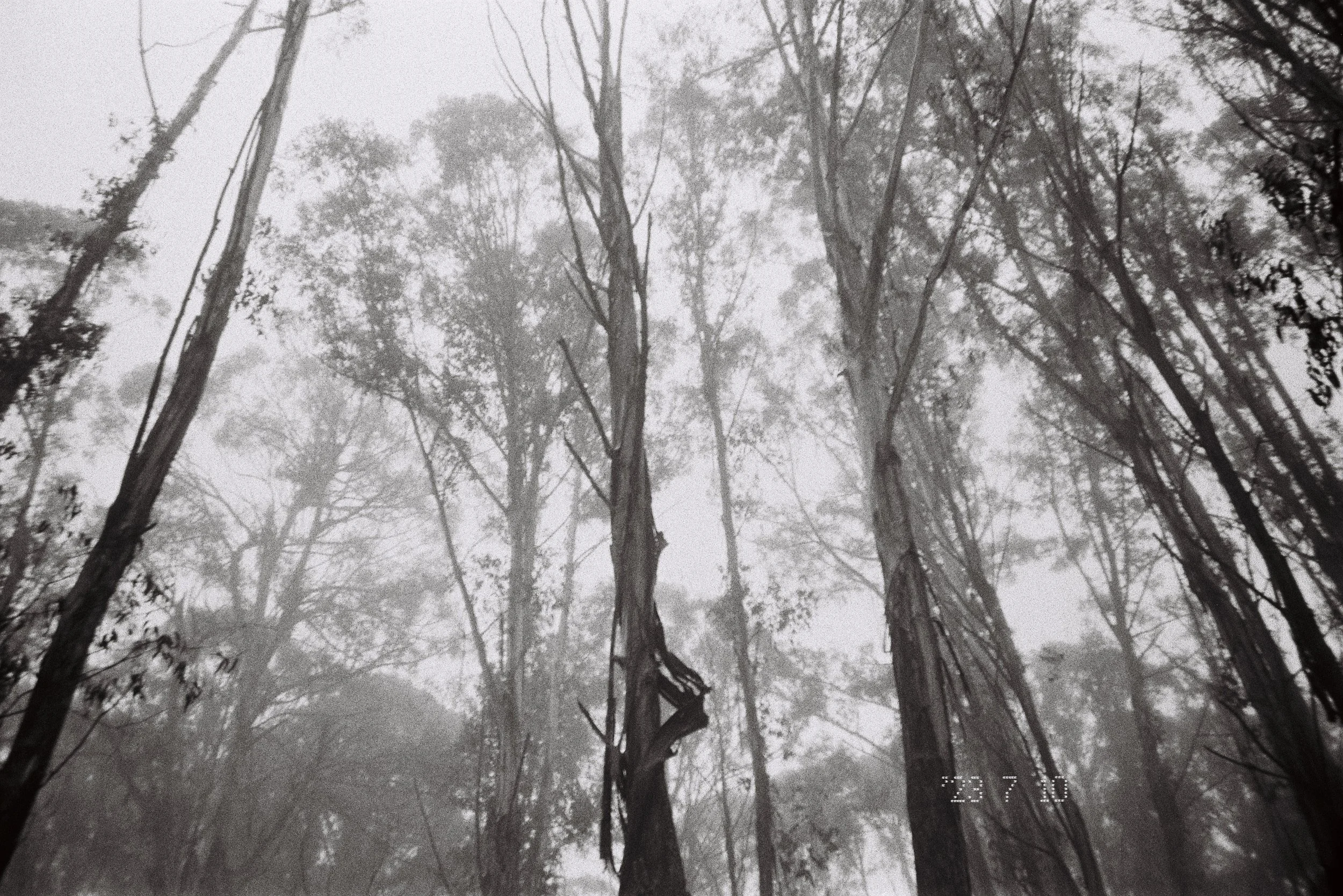 照片 31-03-2026 19 56 15 (2).jpg