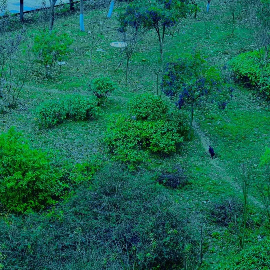 照片 29-03-2026 11 56 43 (2).jpg