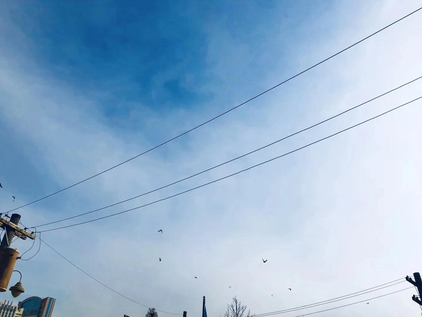 照片 29-03-2026 07 58 07.jpg