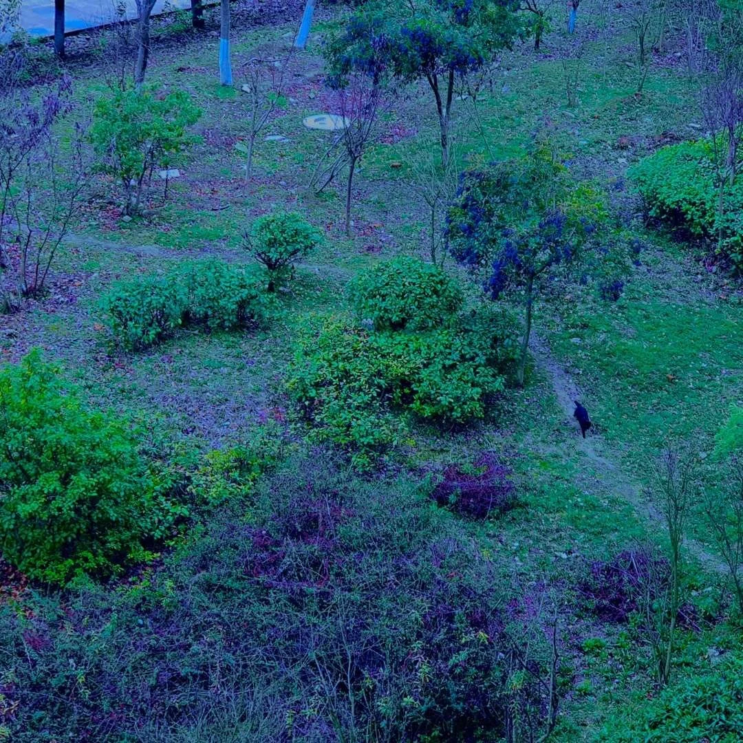 照片 29-03-2026 07 59 15.jpg