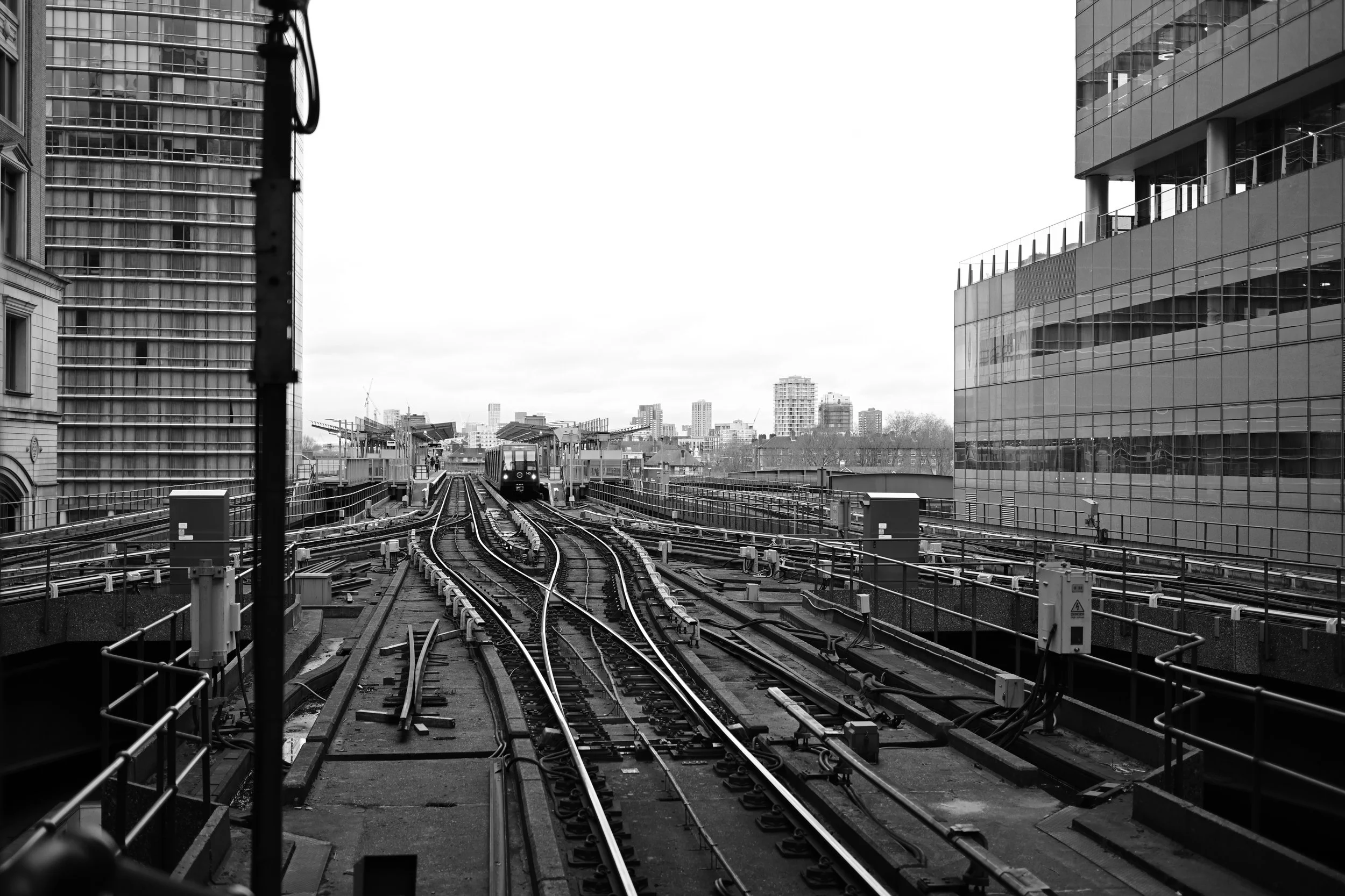 DSC_0874.JPG