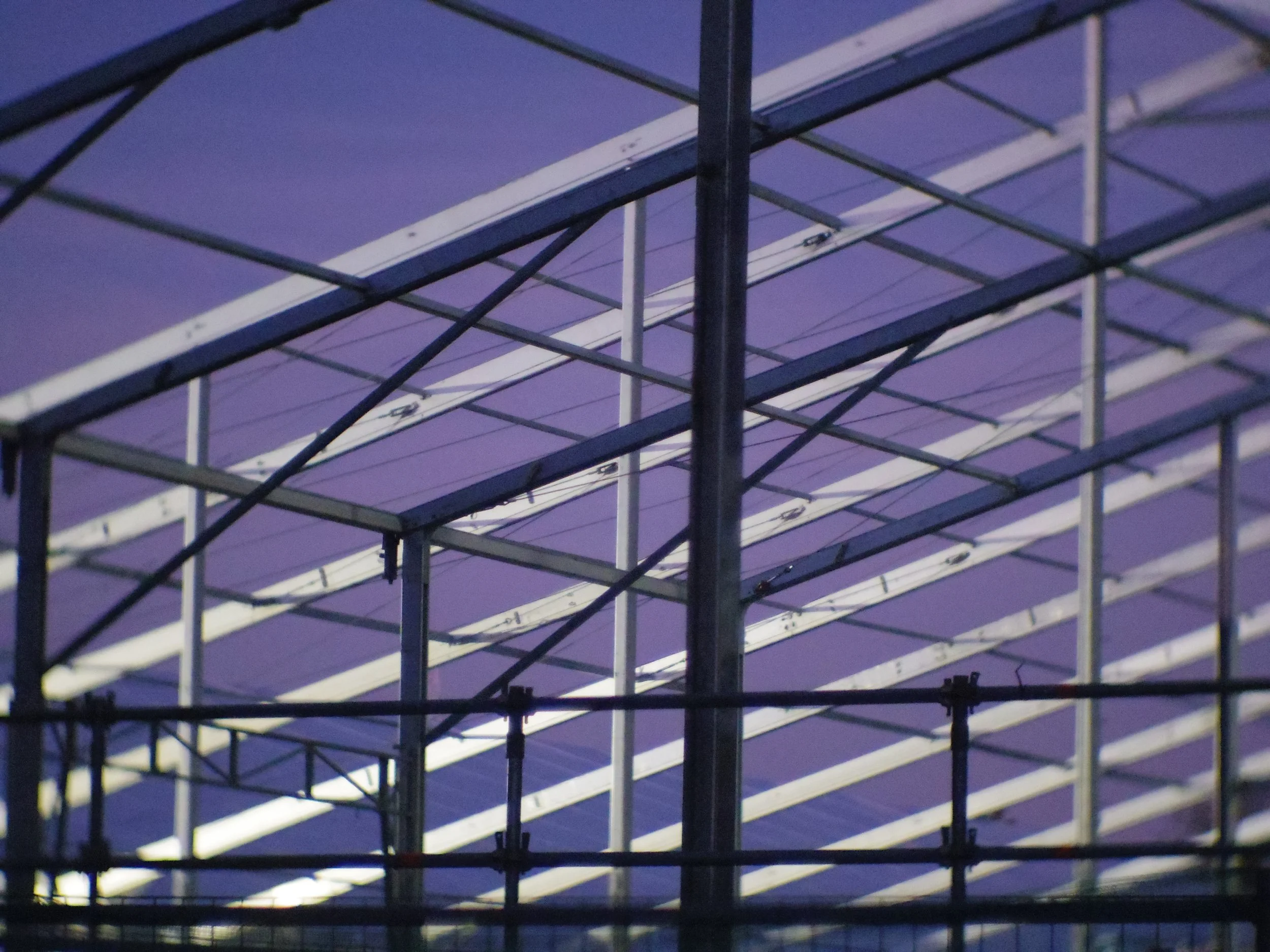 照片 17-10-2024 下午6 36 36.jpg