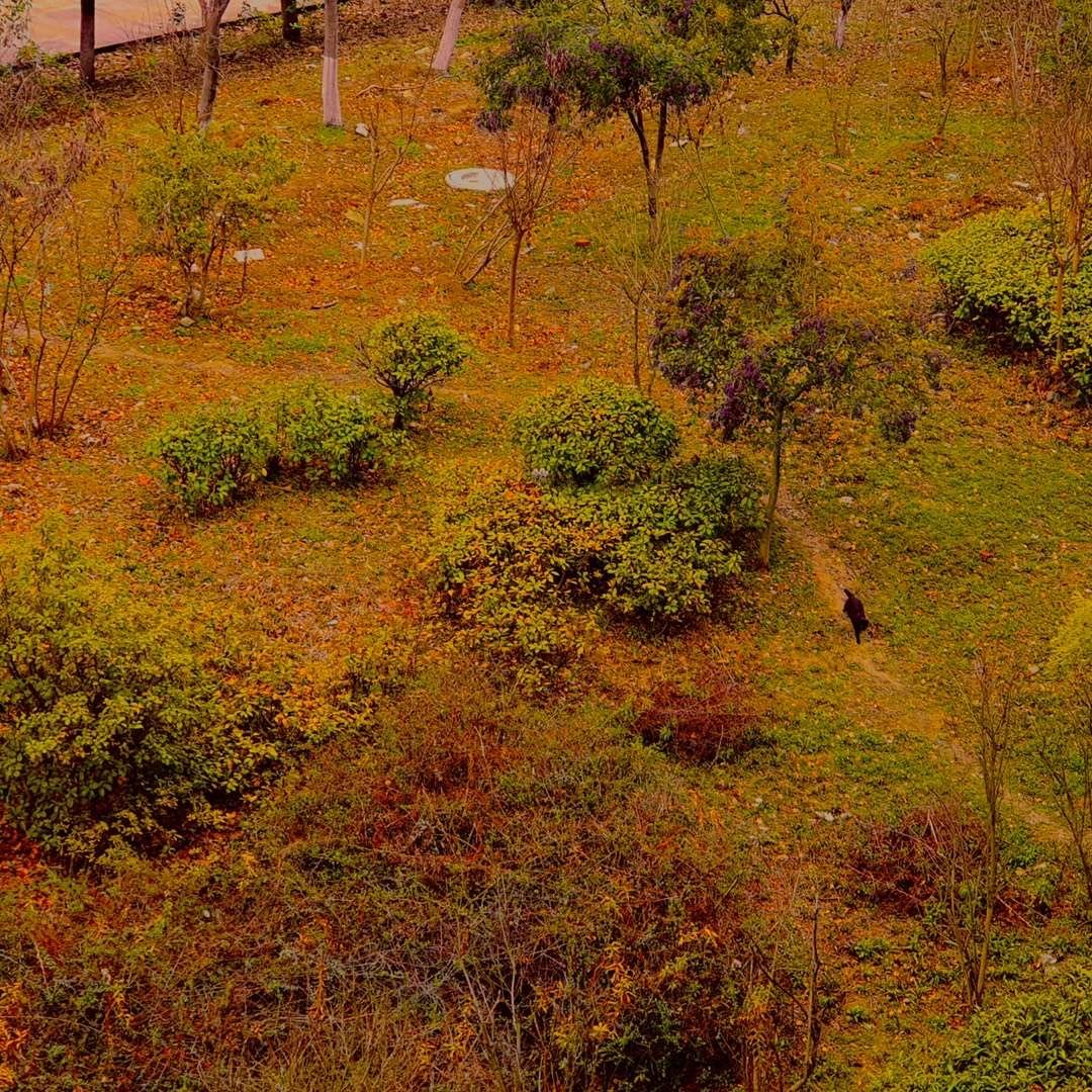 照片 29-03-2026 07 59 17.jpg