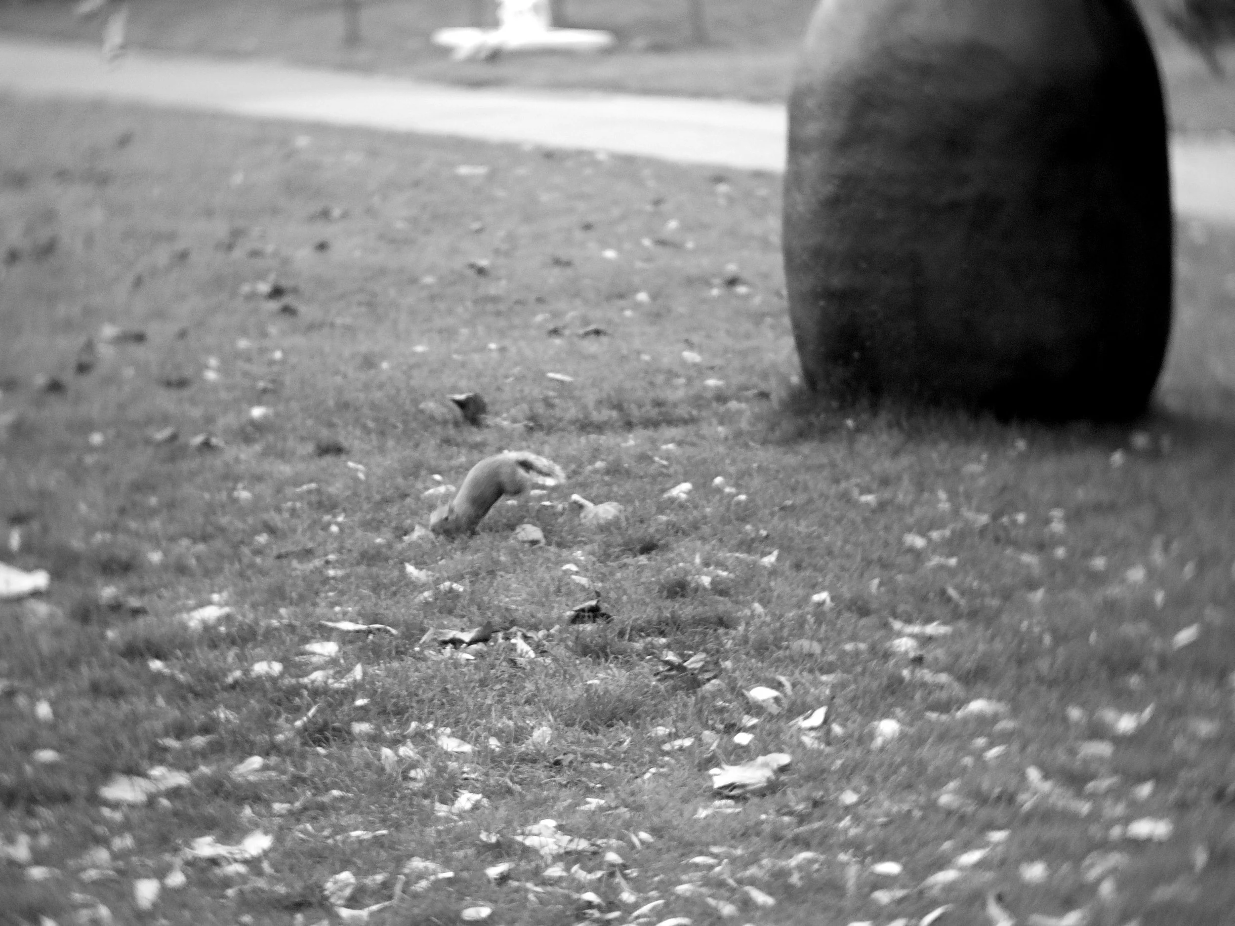 照片 17-10-2024 下午5 57 50.jpg