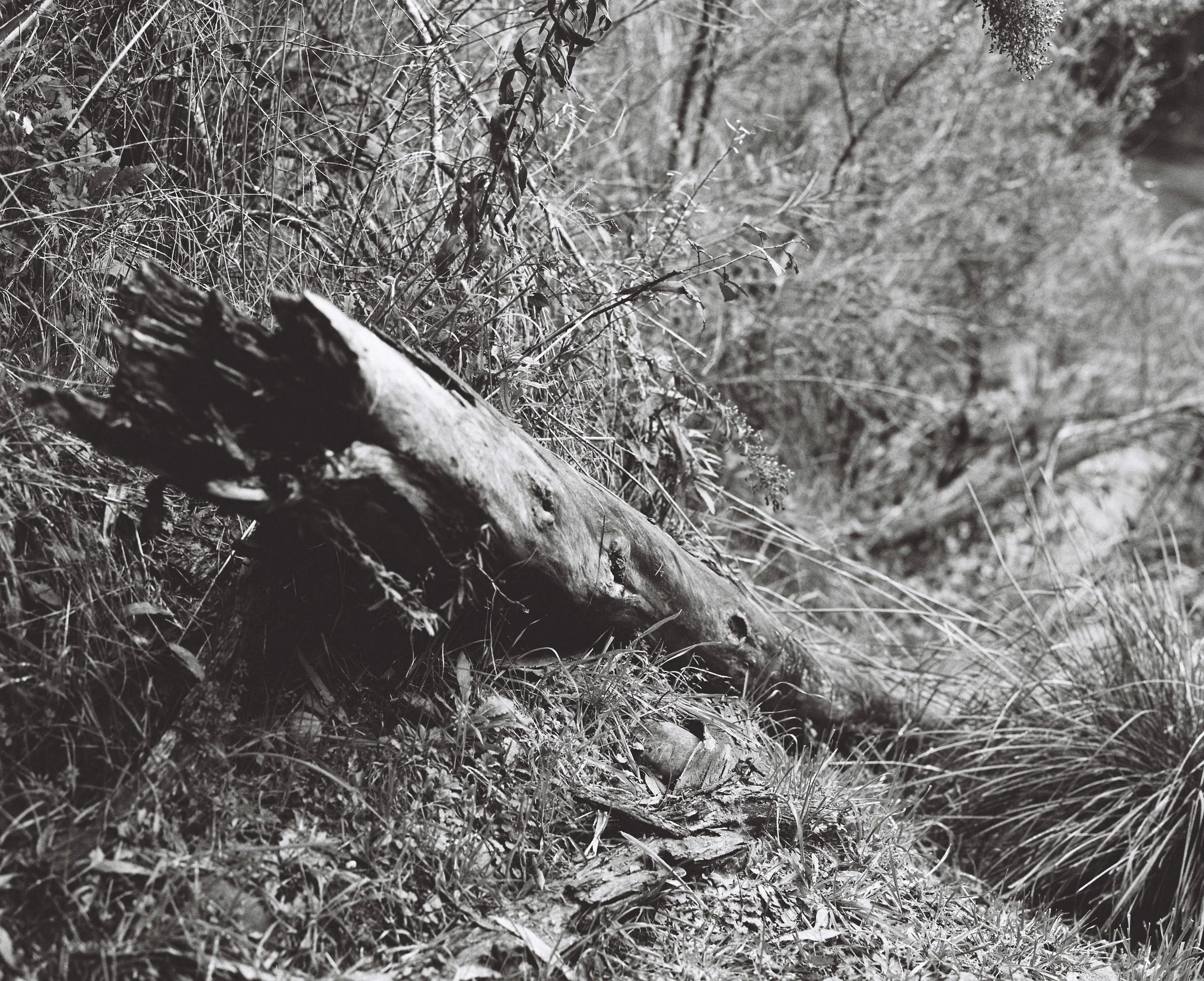 照片 31-03-2026 19 56 15 (1).jpg