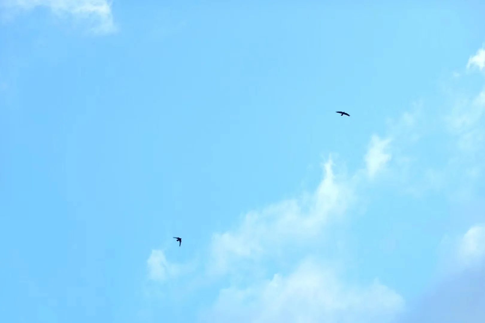 照片 29-03-2026 07 58 09.jpg