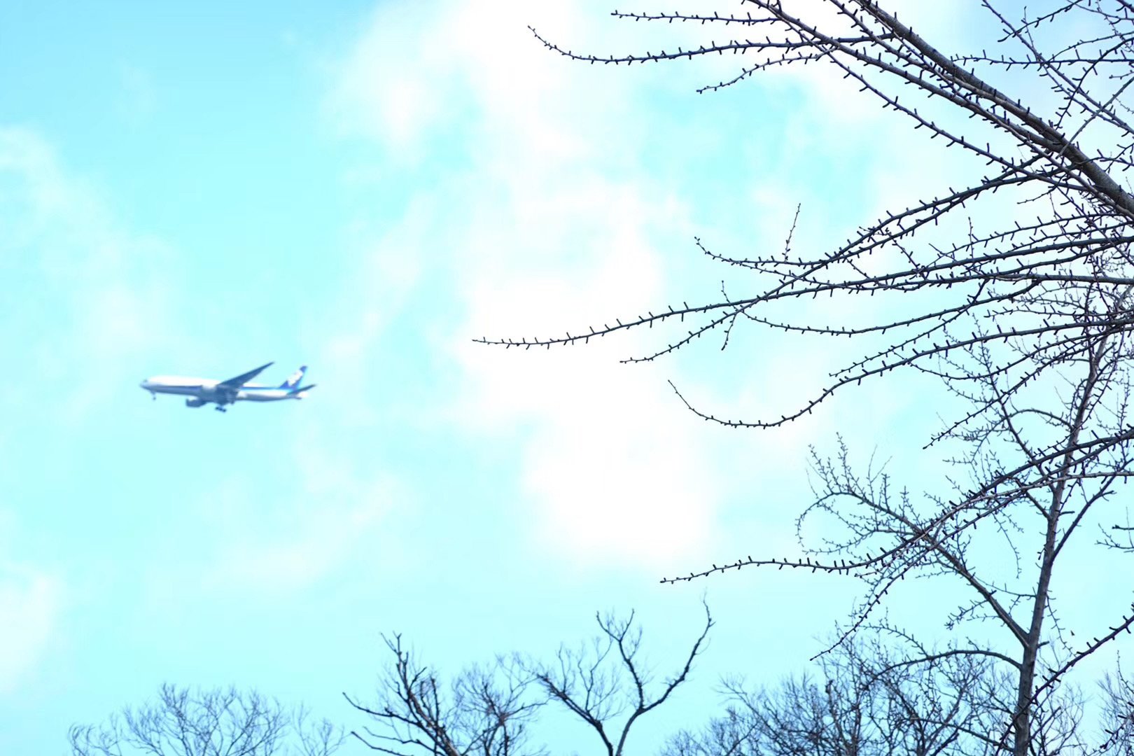 照片 29-03-2026 07 58 22.jpg