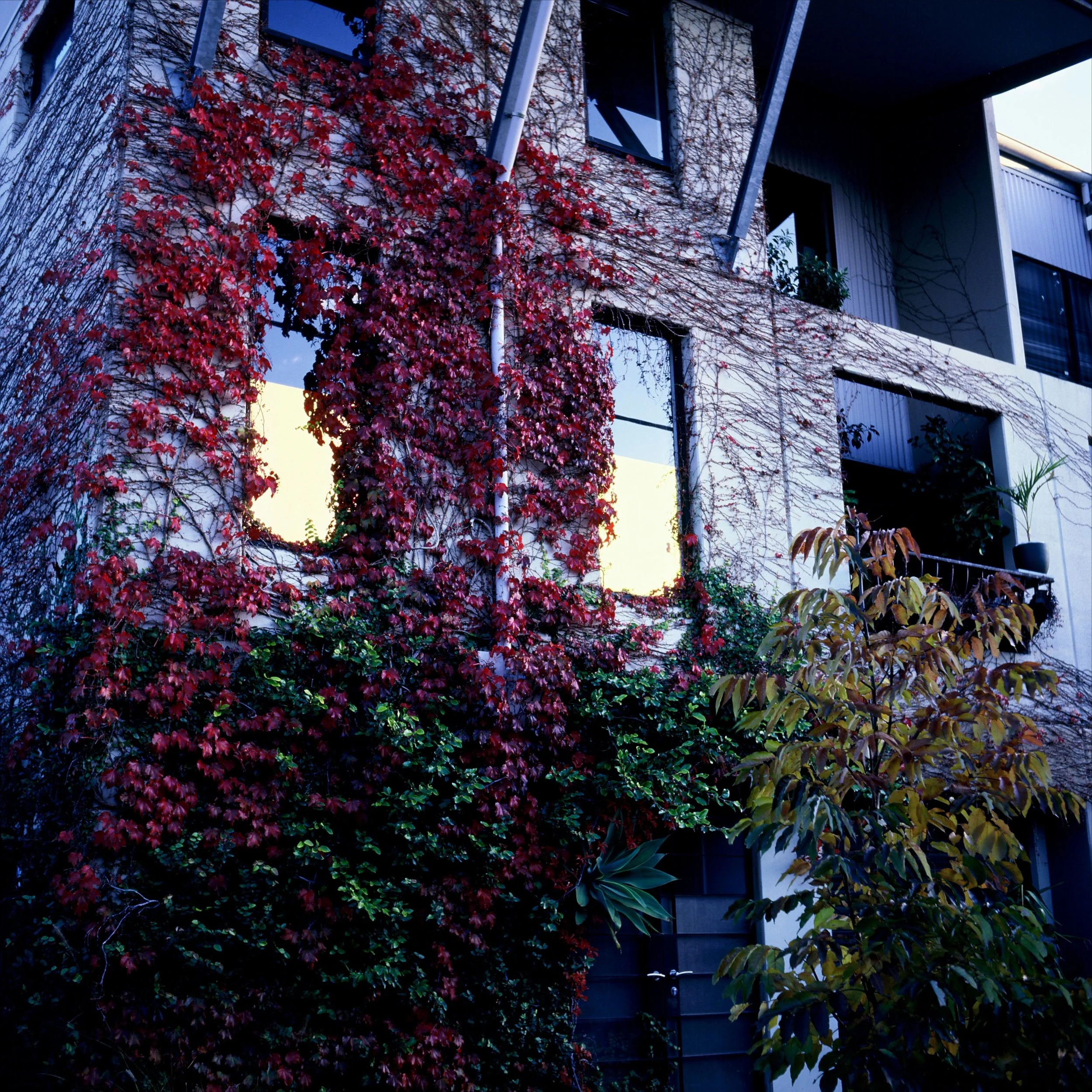 照片 31-03-2026 19 56 15 (7).jpg