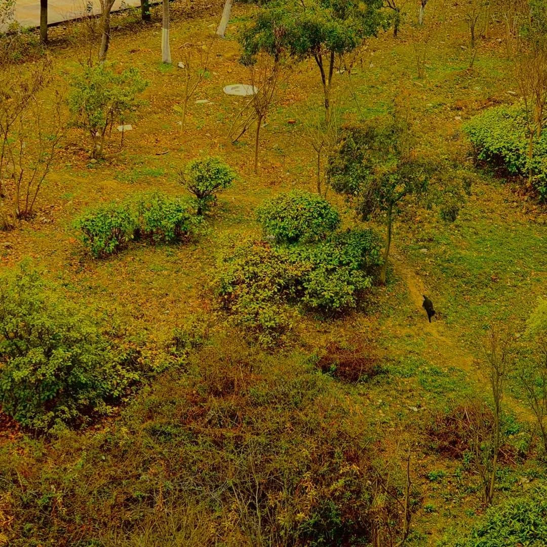 照片 29-03-2026 11 56 43 (1) (1).jpg