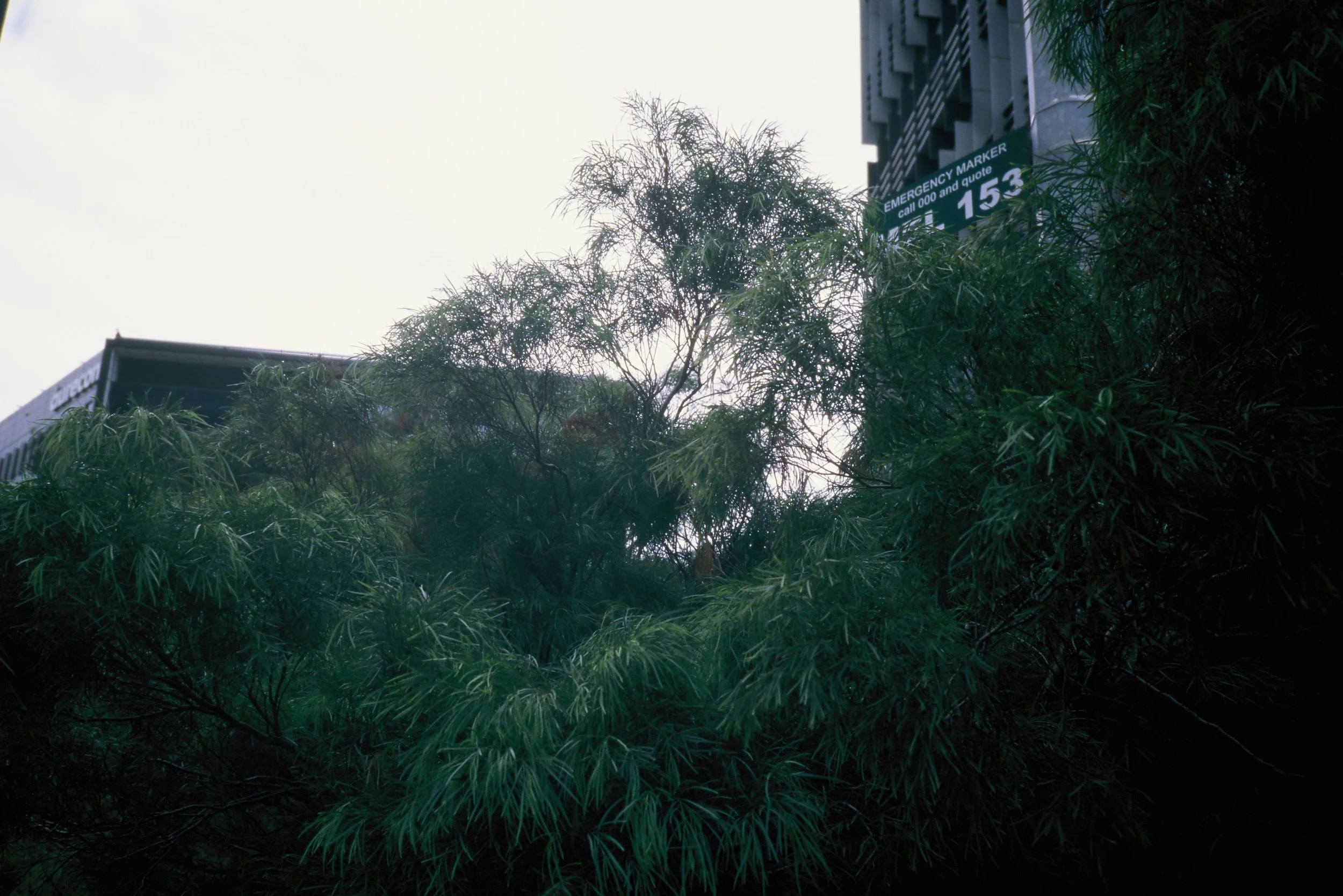 照片 31-03-2026 19 56 15 (17).jpg