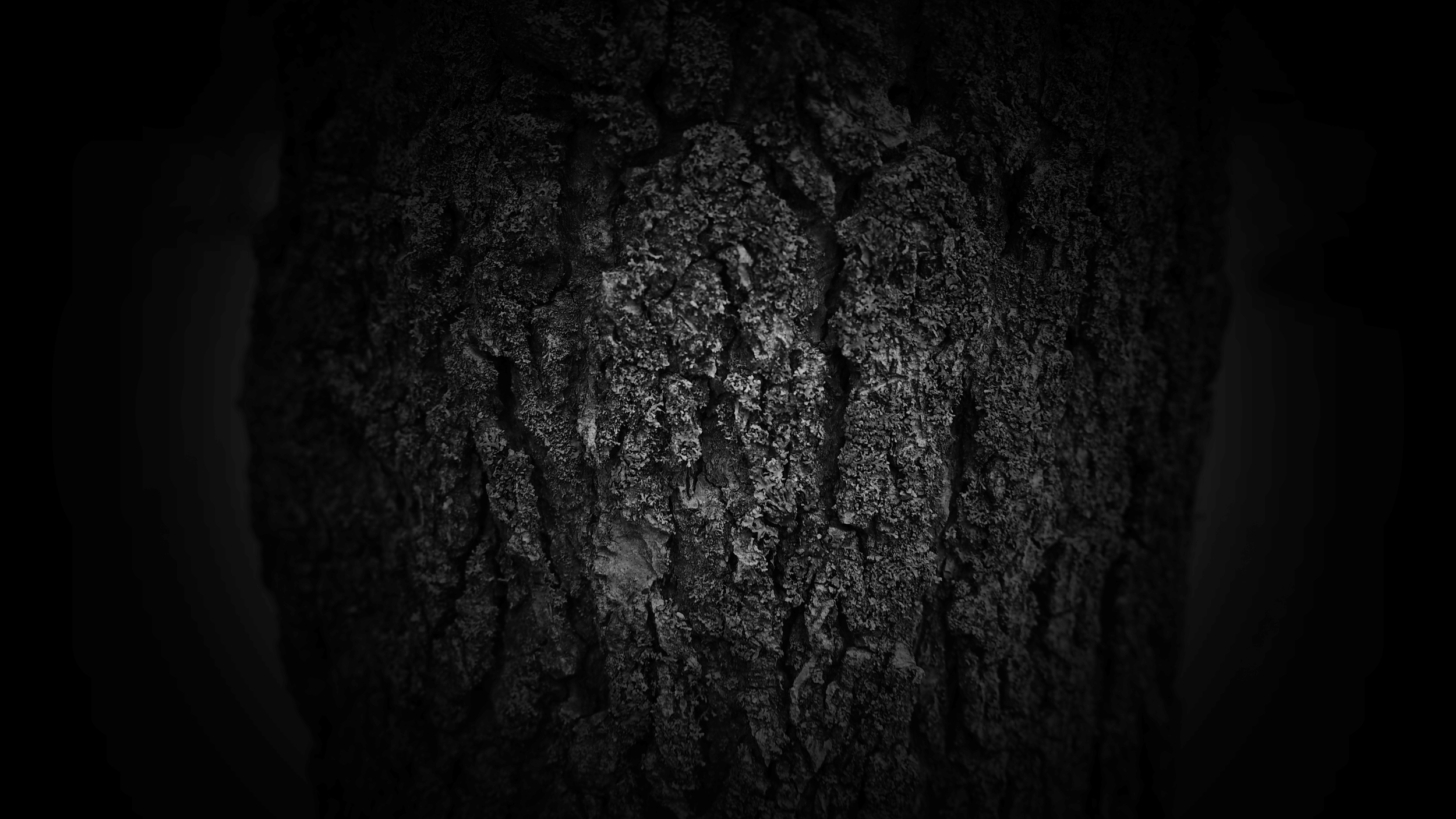 !_DSC_0851.00_02_38_05.Still008_B.png