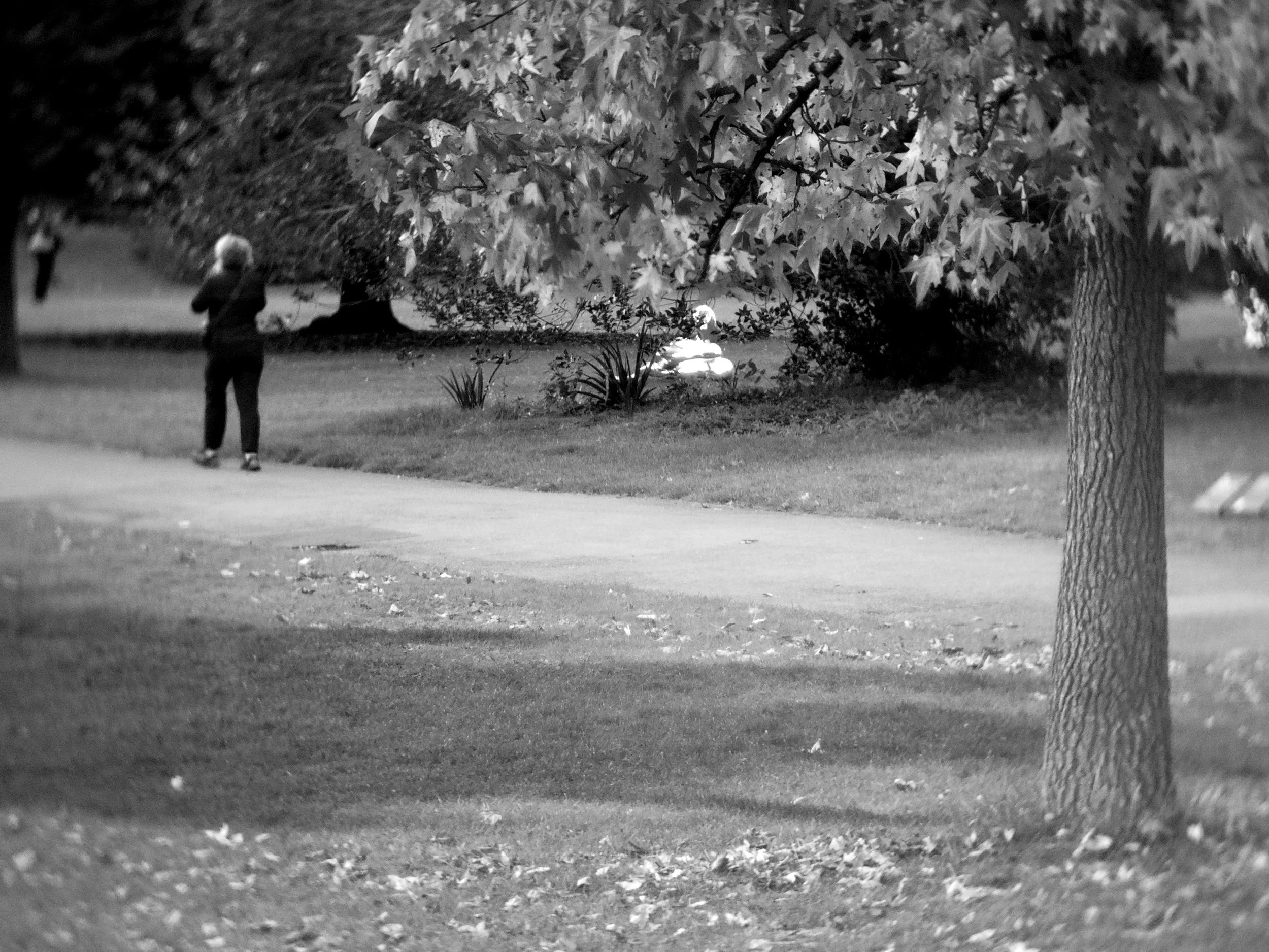 照片 17-10-2024 下午6 08 54.jpg