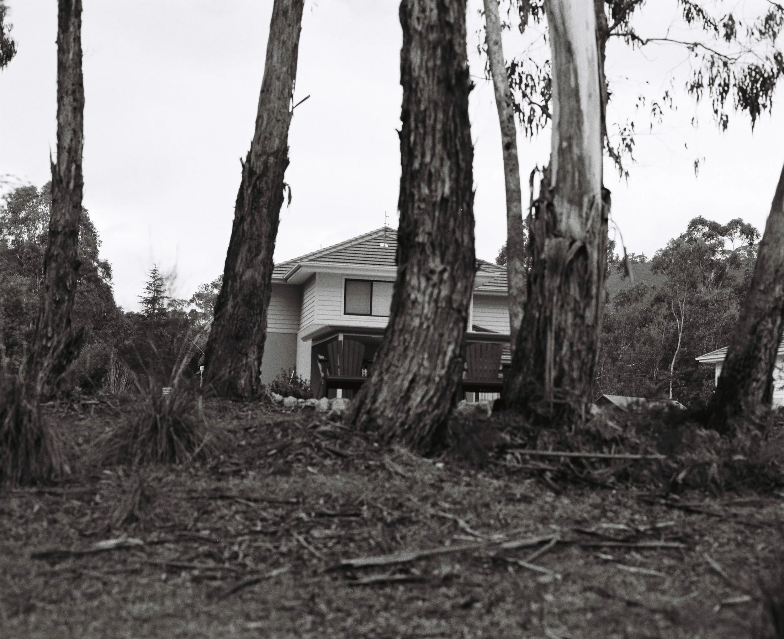 照片 31-03-2026 19 56 15.jpg