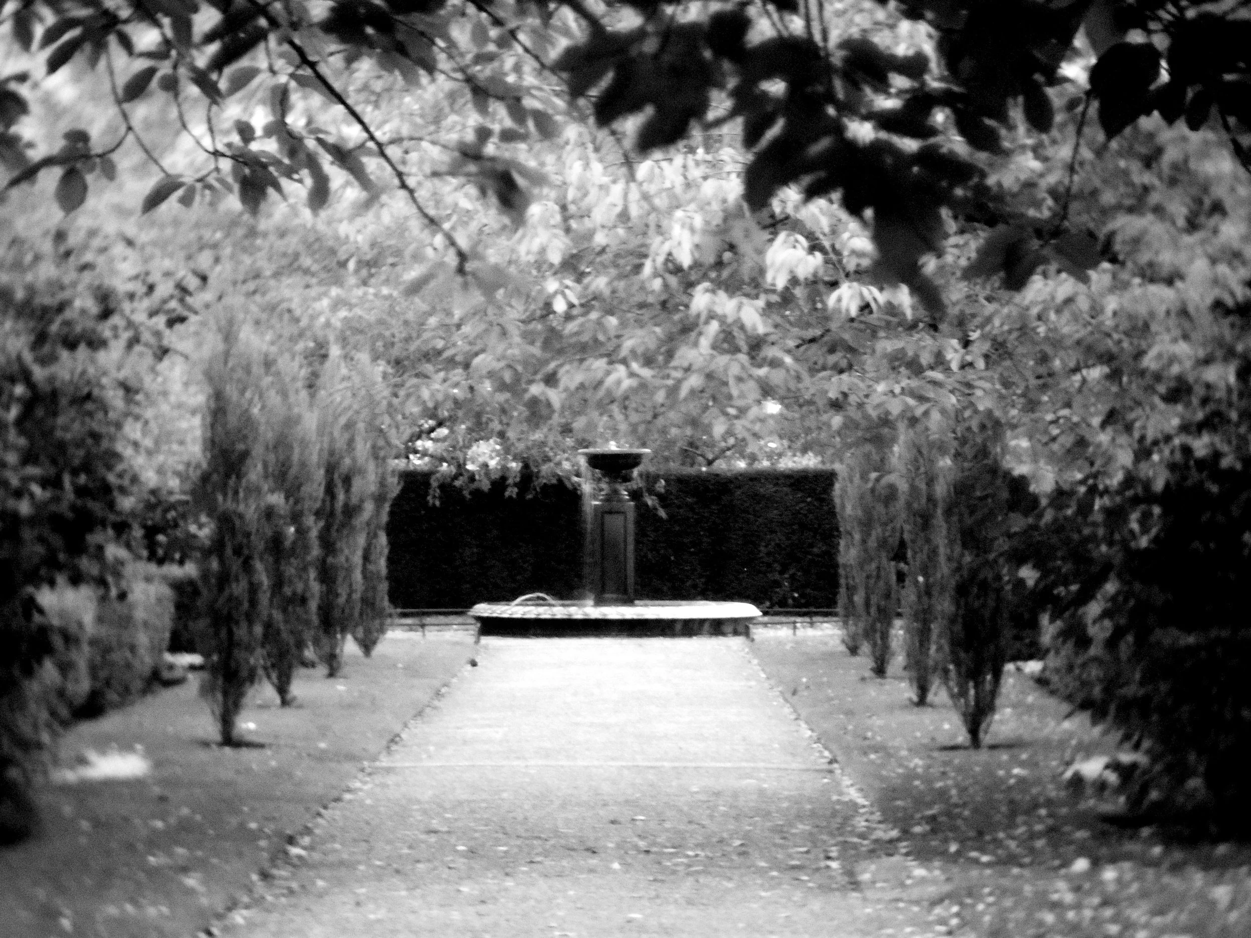 照片 17-10-2024 下午6 26 51.jpg