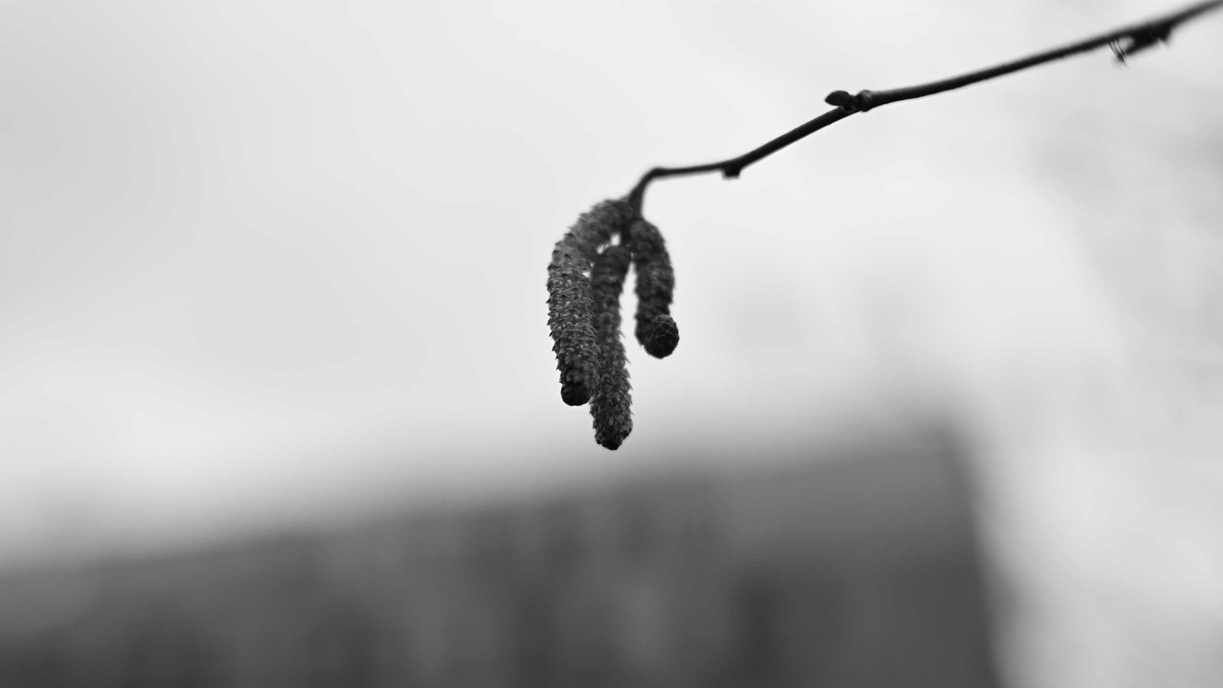 !_DSC_0851.00_02_30_23.Still006.png