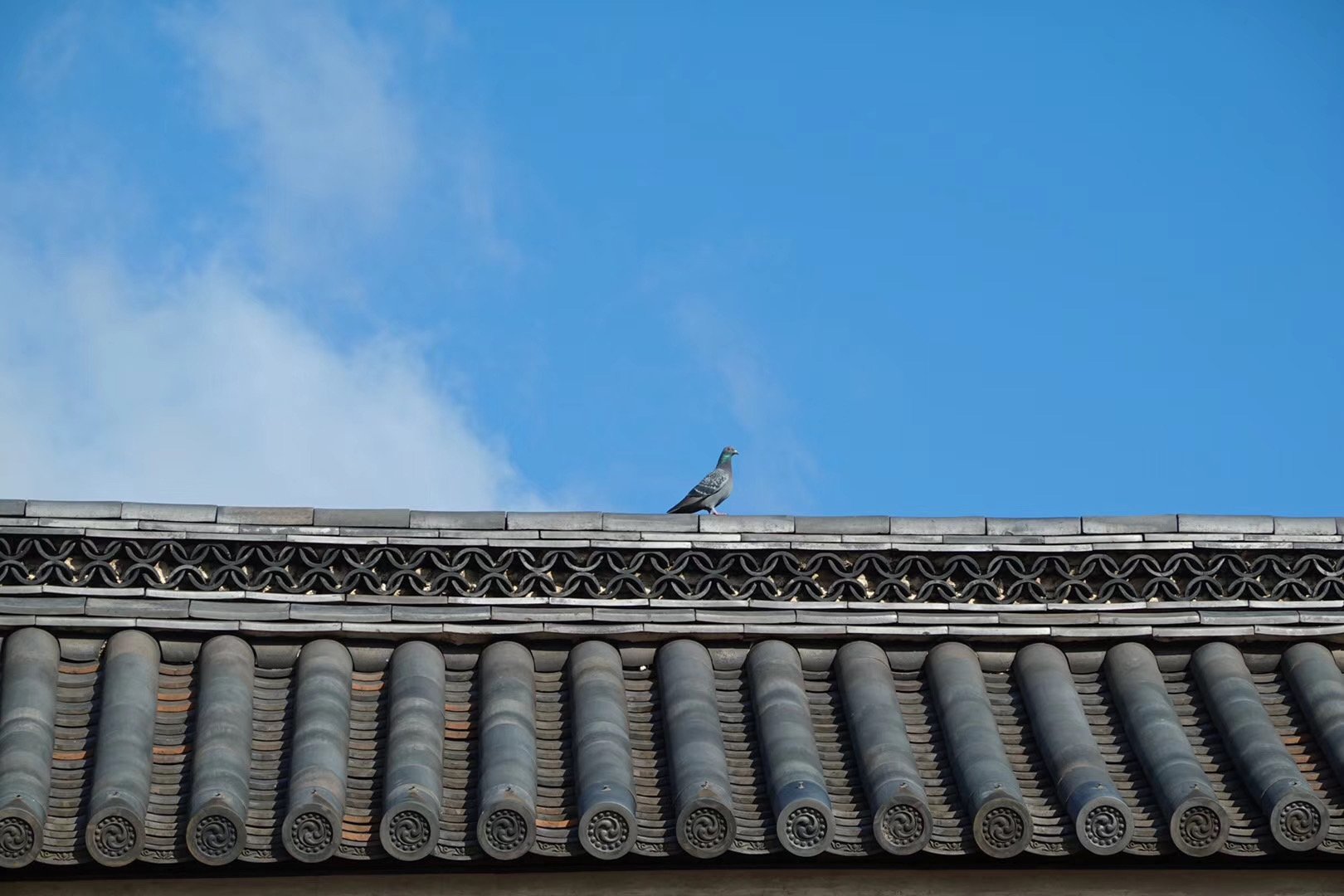 照片 29-03-2026 07 58 14.jpg