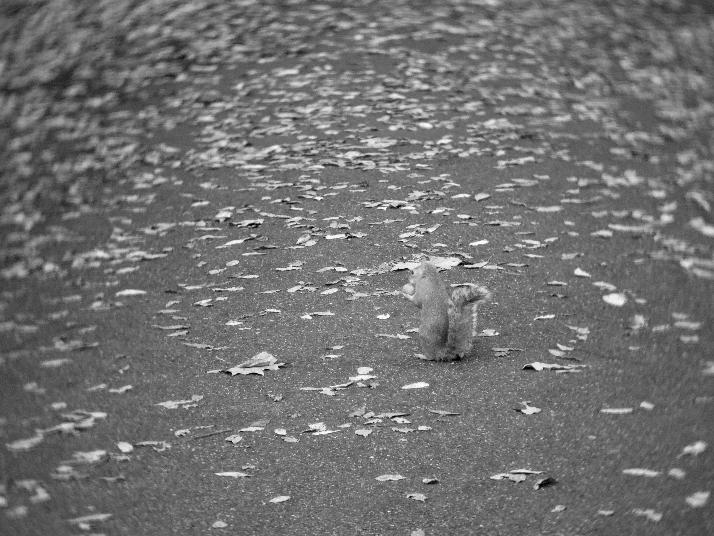 照片 17-10-2024 下午5 58 53.jpg