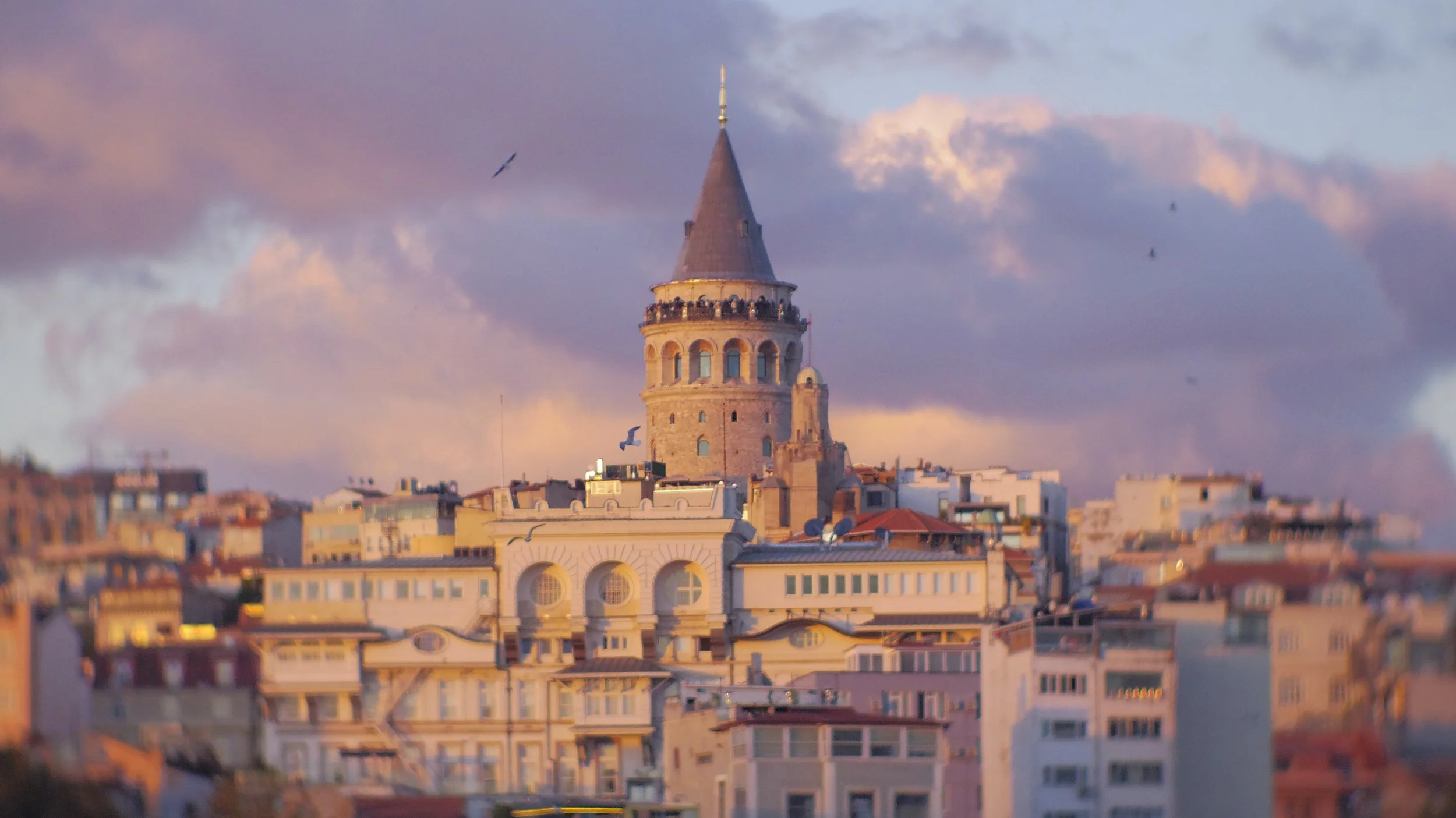 照片 05-11-2024 14 43 25.jpg