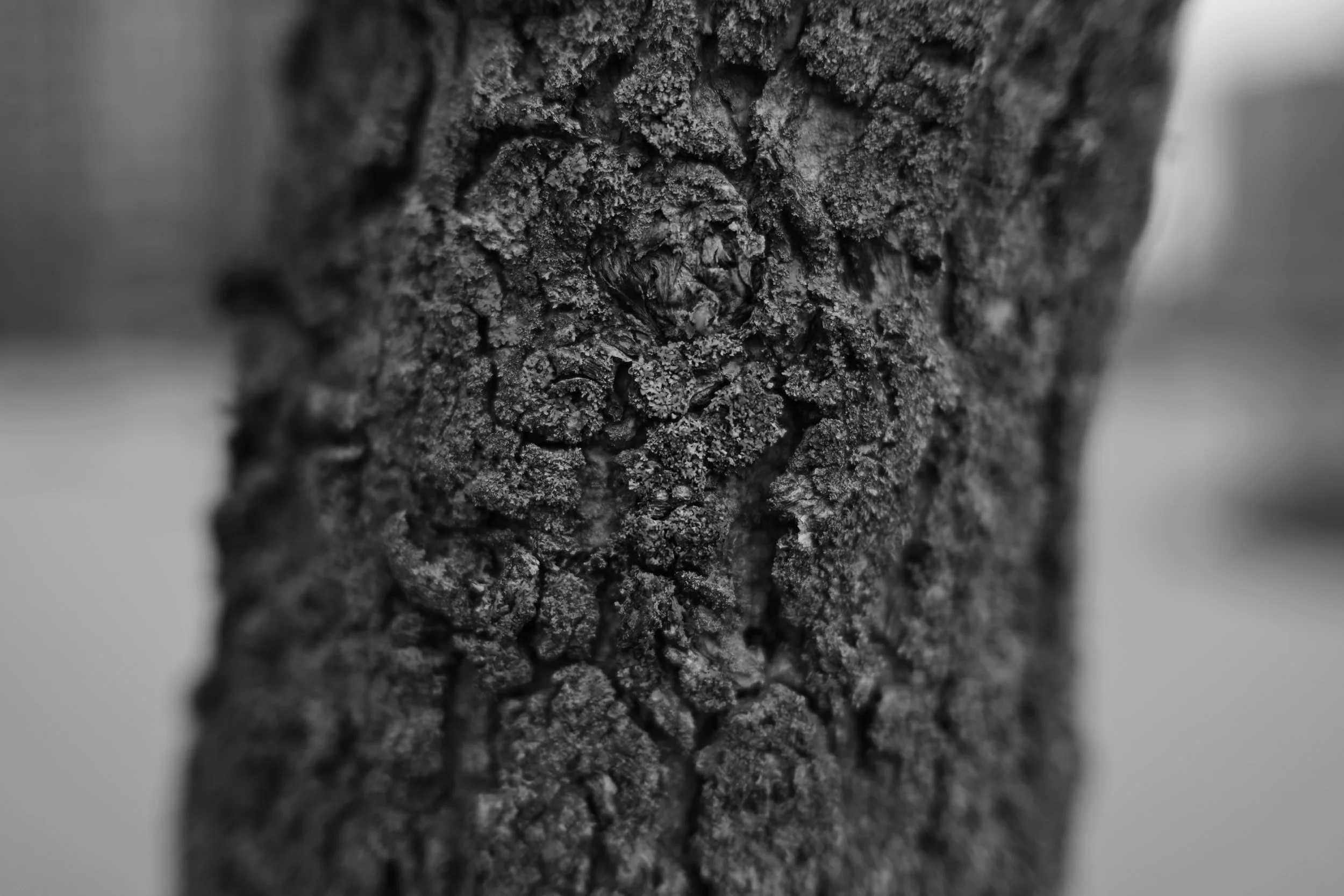 DSC_0945.JPG