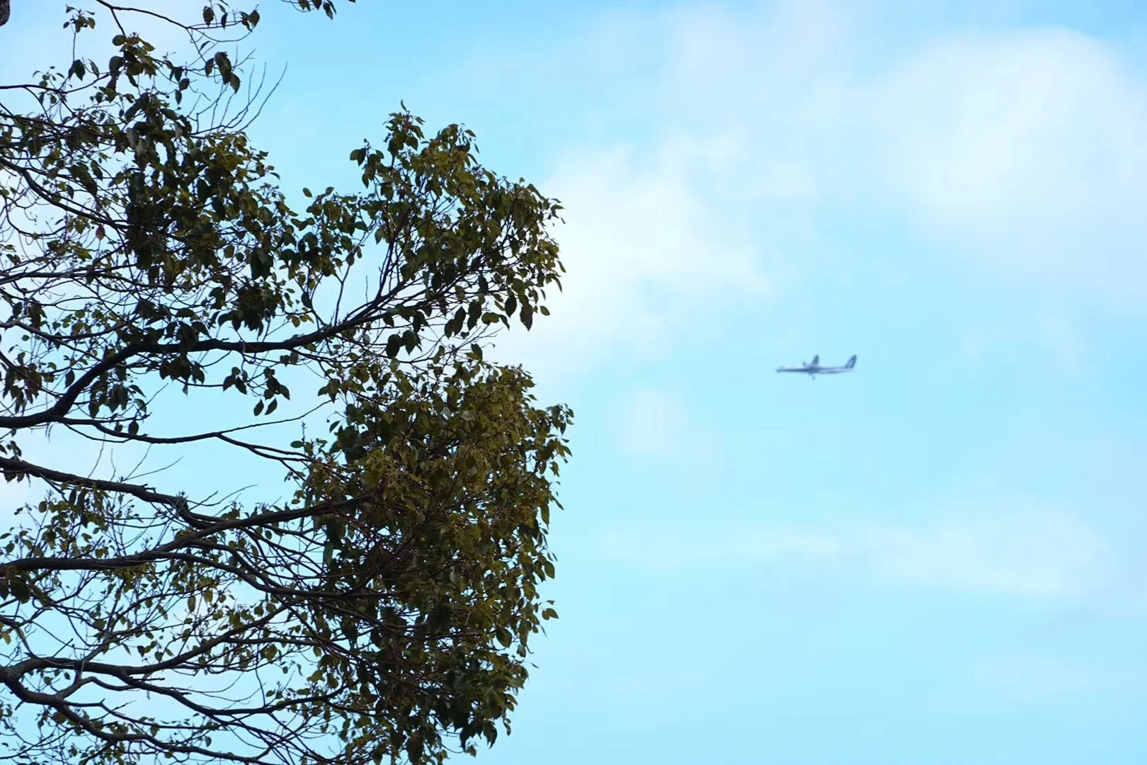 照片 29-03-2026 07 58 18.jpg