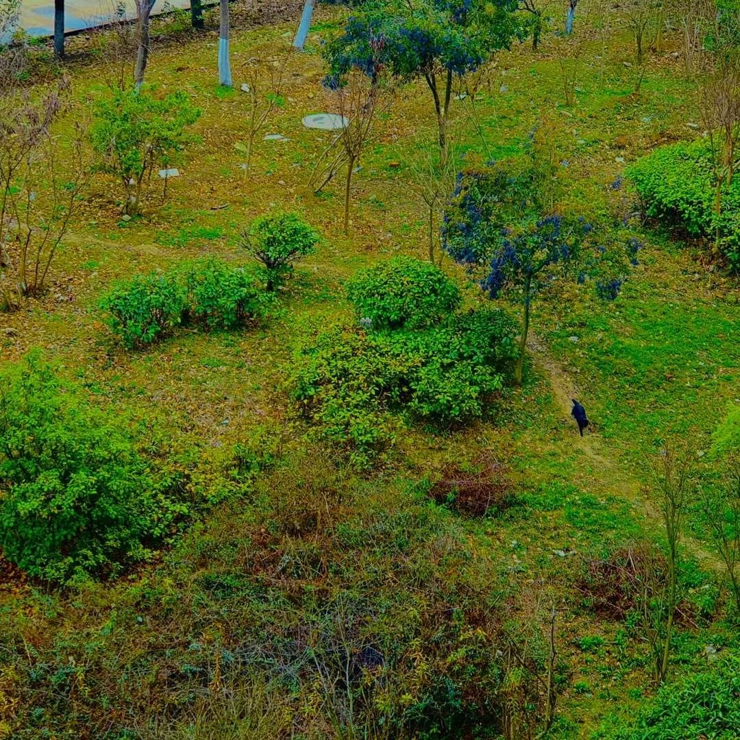 照片 29-03-2026 11 56 43 (1).jpg