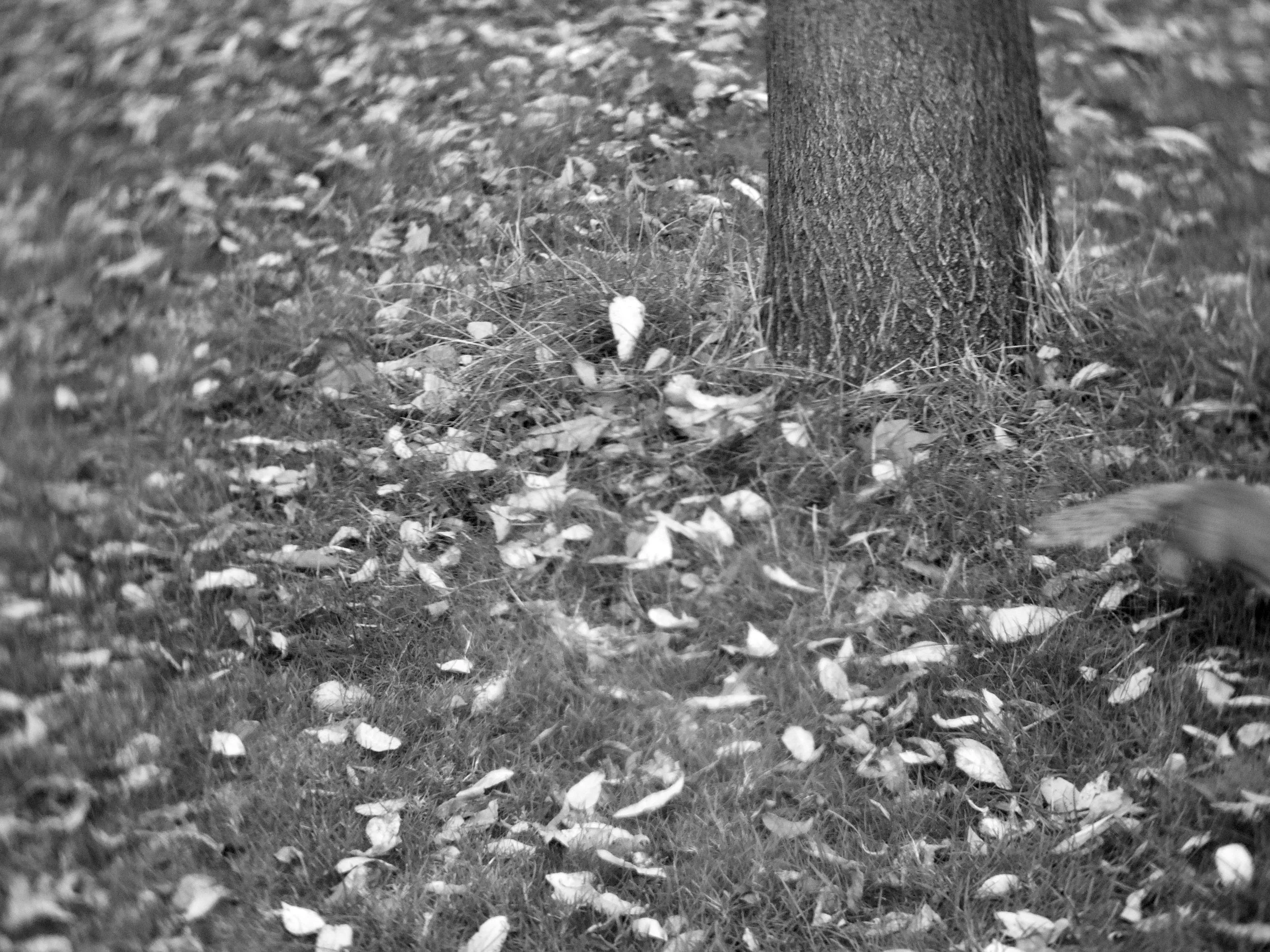 照片 17-10-2024 下午5 58 34.jpg