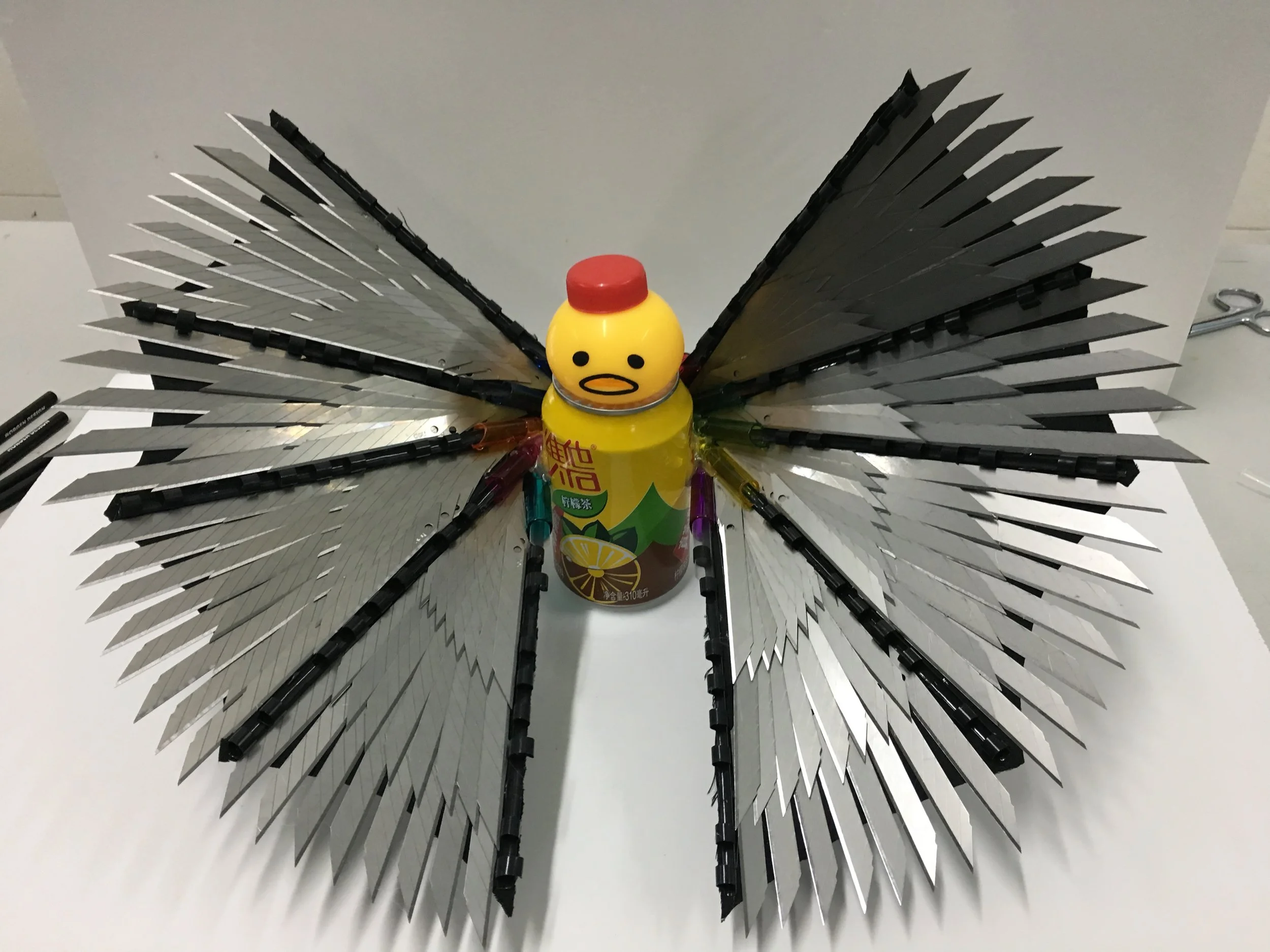 360307650148179885.jpg