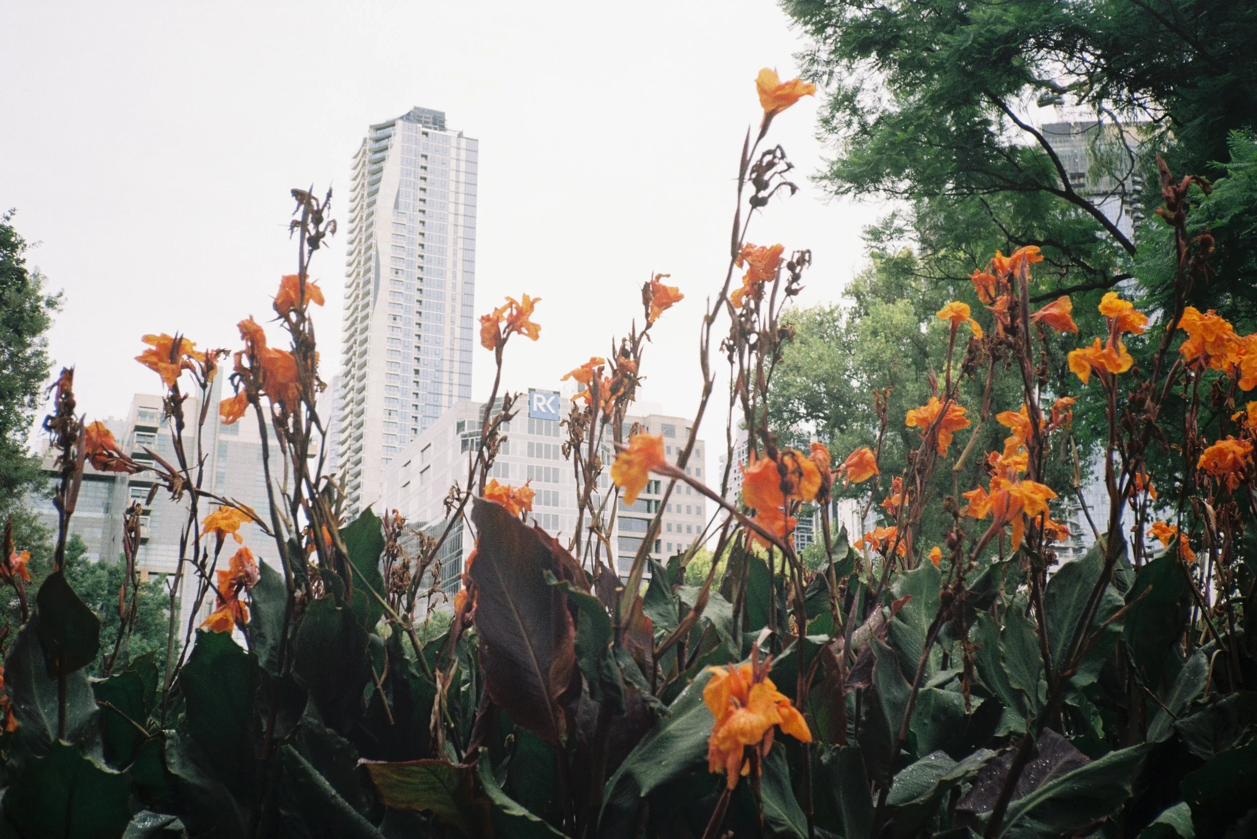 照片 31-03-2026 19 56 15 (11).jpg