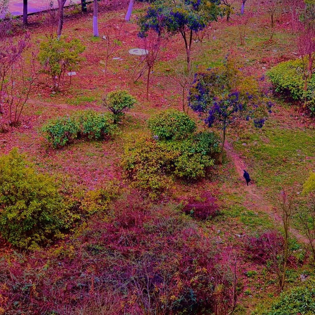 照片 29-03-2026 07 59 13.jpg