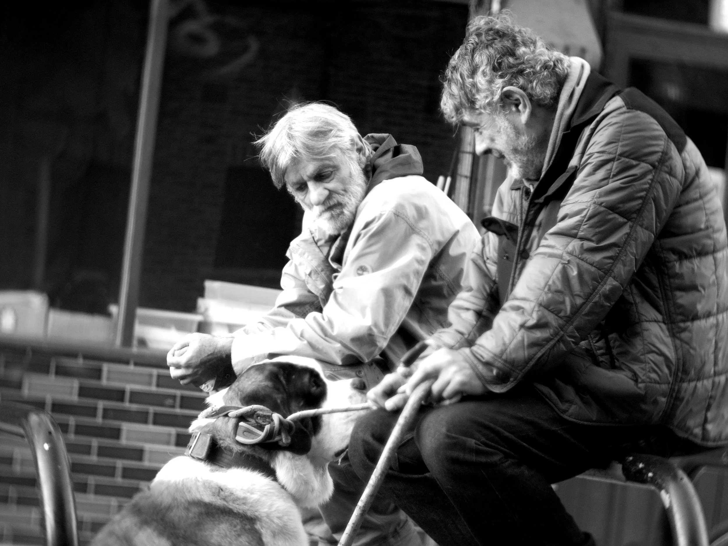 照片 22-10-2024 17 26 43.jpg