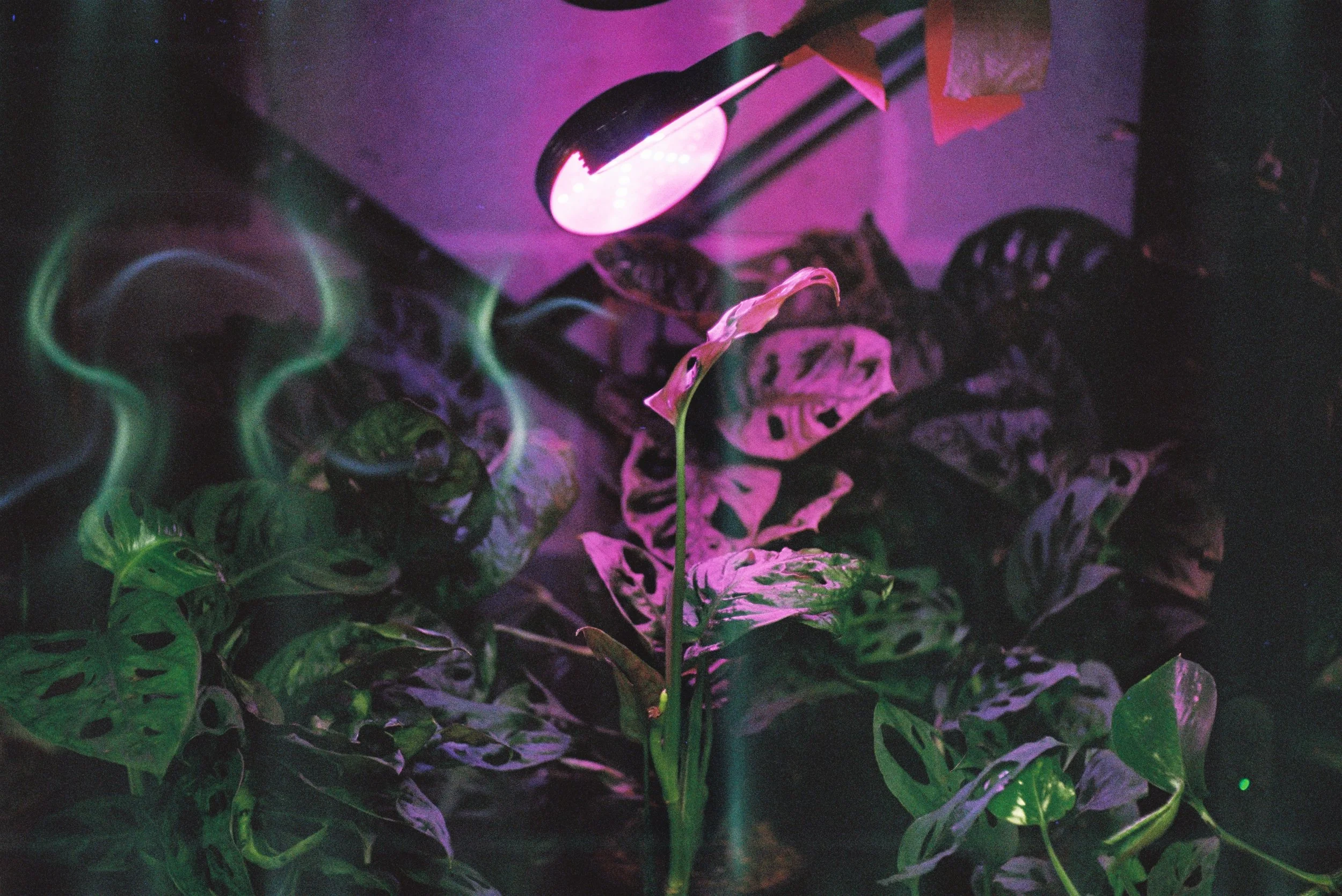 照片 31-03-2026 19 56 15 (18).jpg