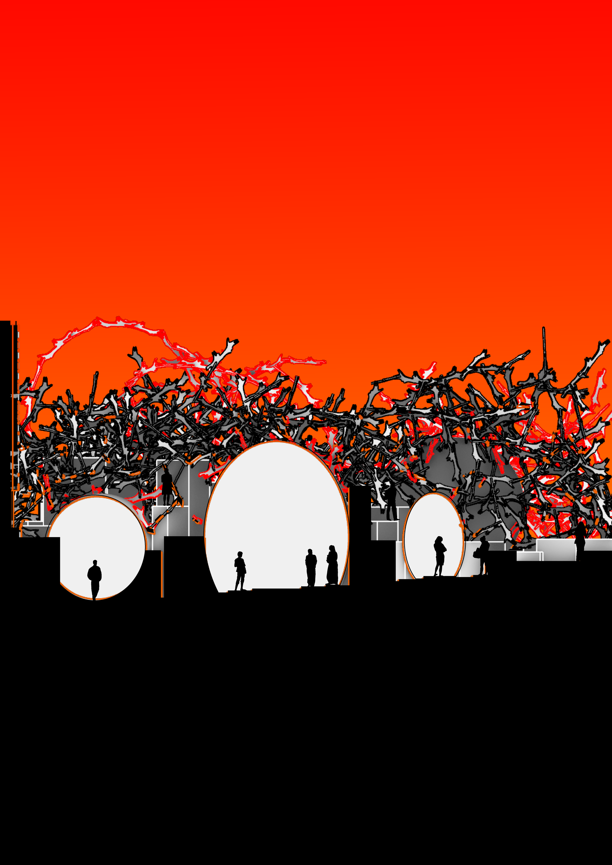 1_50 Section_nowhere-01.png