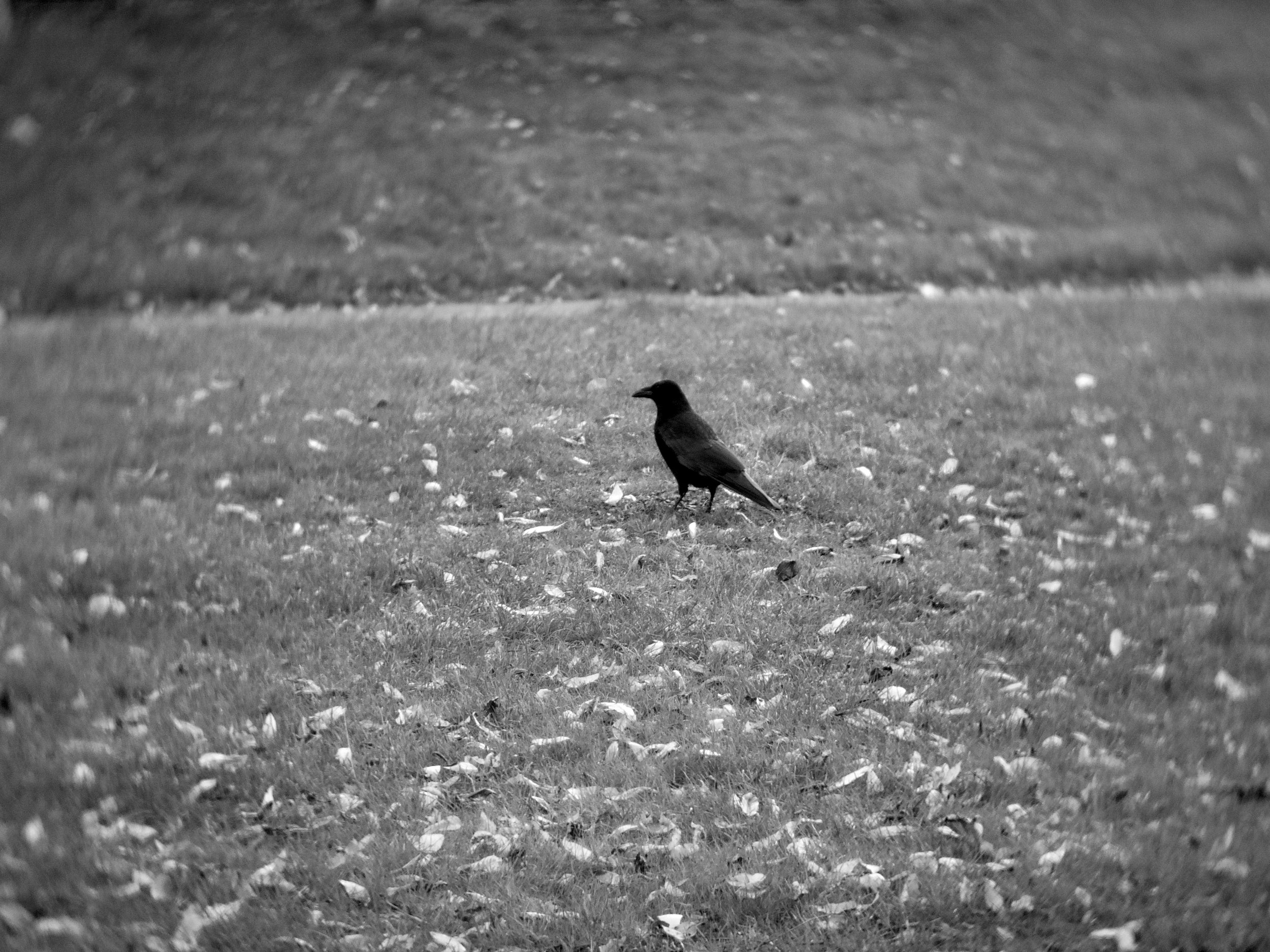 照片 17-10-2024 下午5 57 12.jpg