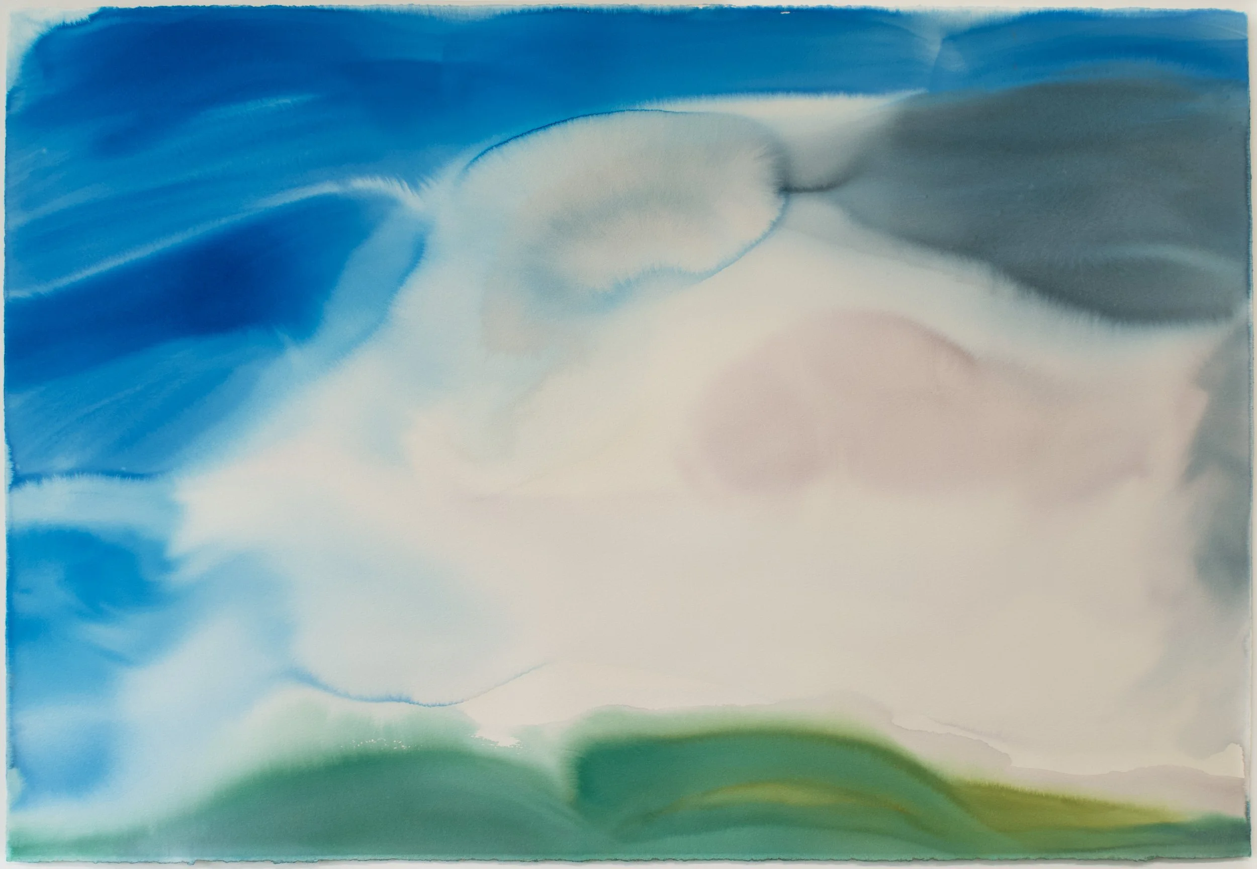 Wildlands V, Watercolor on paper, 40in. x 60in., 2026