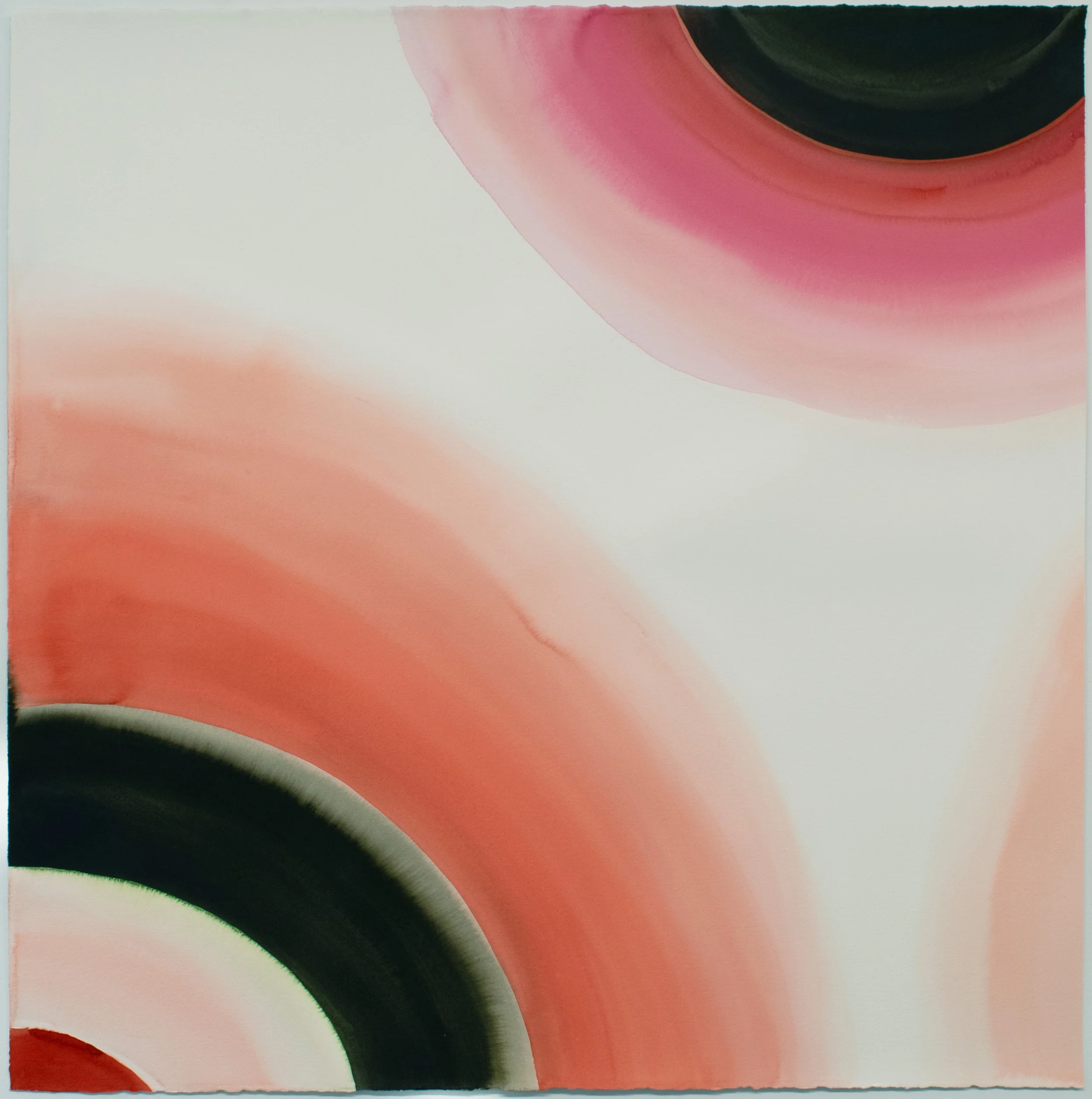 Tide Lines IX, Watercolor on paper, 40in. x 40in., 2026