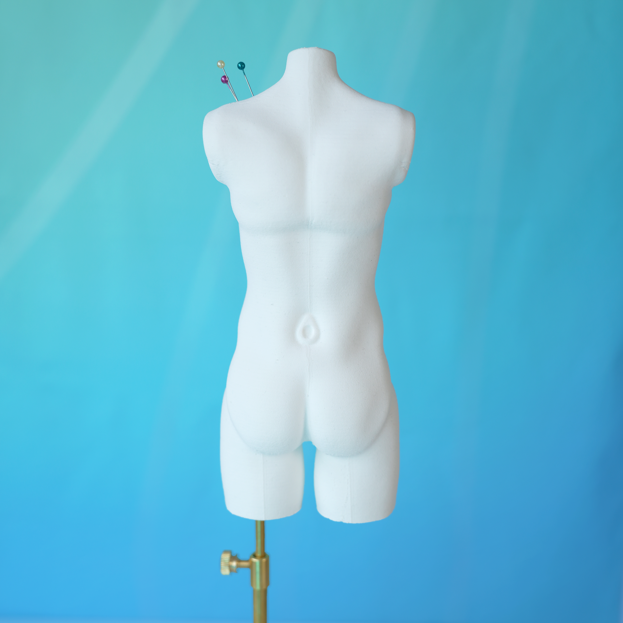 DSC07591_01.png
