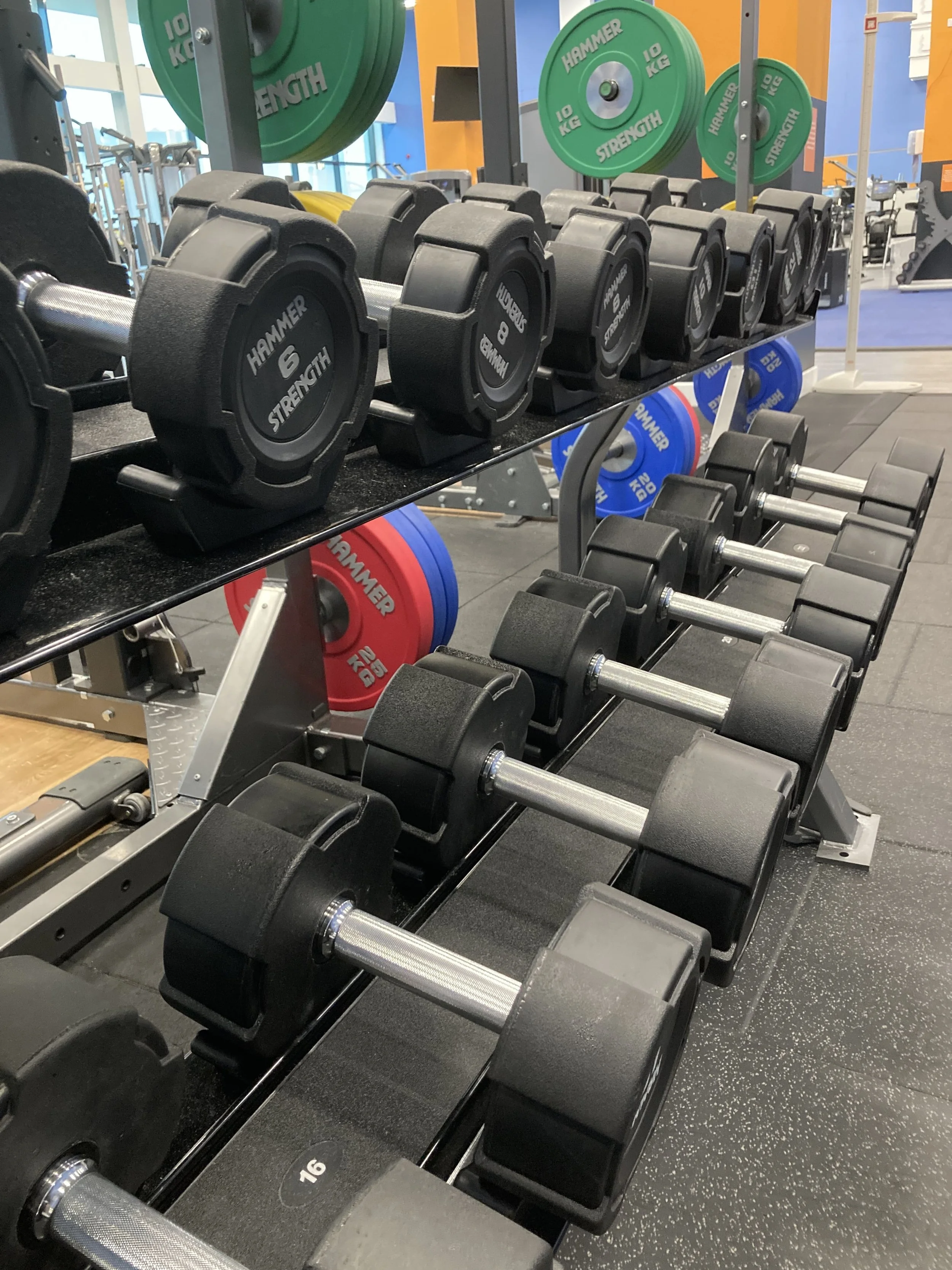 Spacious gym training area at Meadowbank Sports Centre operated by Edinburgh Leisure