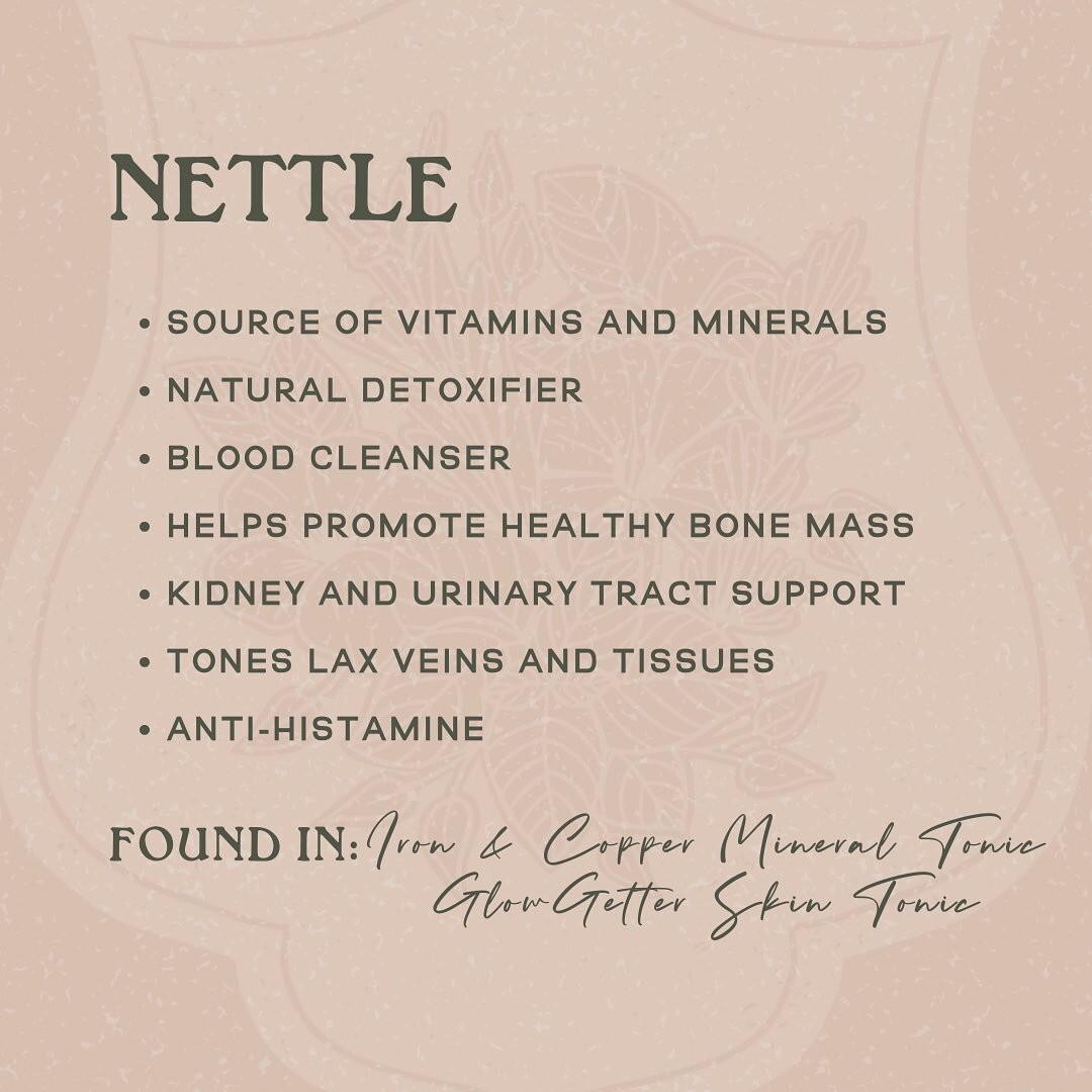 Nettle season is upon us! 🌱

I have yet to know a healer who doesn&rsquo;t count nettle among their favorite medicines. 

Not only is nettle one of the most nutritious weeds out there, nettle helps clean your blood, strengthen your bones, tone your 